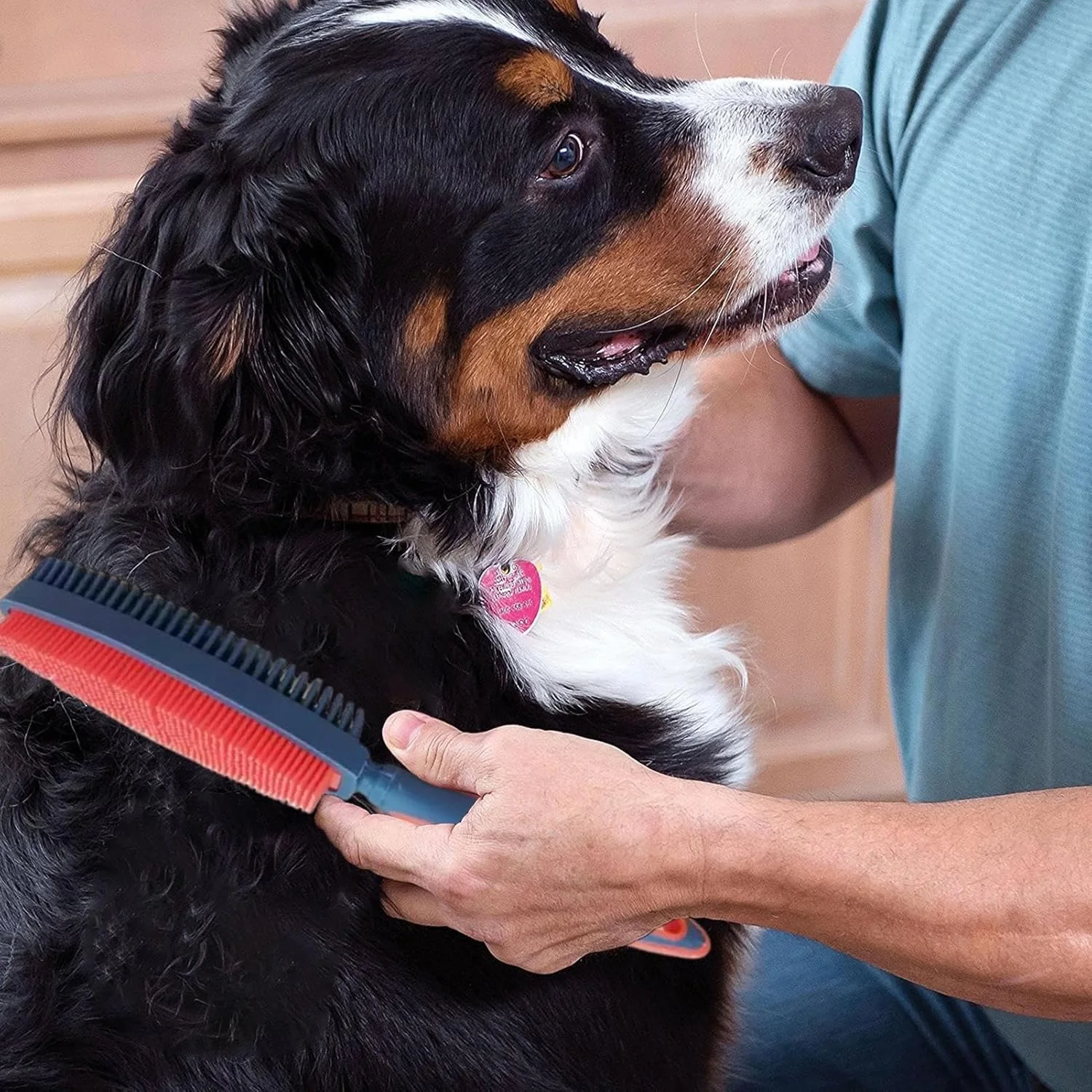 برس سگ برای ریزش مو | شانه دو طرفه نظافت - برس نظافت گربه | برای خرگوش، بچه گربه، توله سگ، از بین بردن موهای ریخته شده، تمیز کردن، حمام و دوش برس سگ برای ریزش مو | شانه دو طرفه نظافت - برس نظافت گربه | برای خرگوش، بچه گربه، توله سگ، از بین بردن موهای ریخته شده، تمیز کردن، حمام و دوش