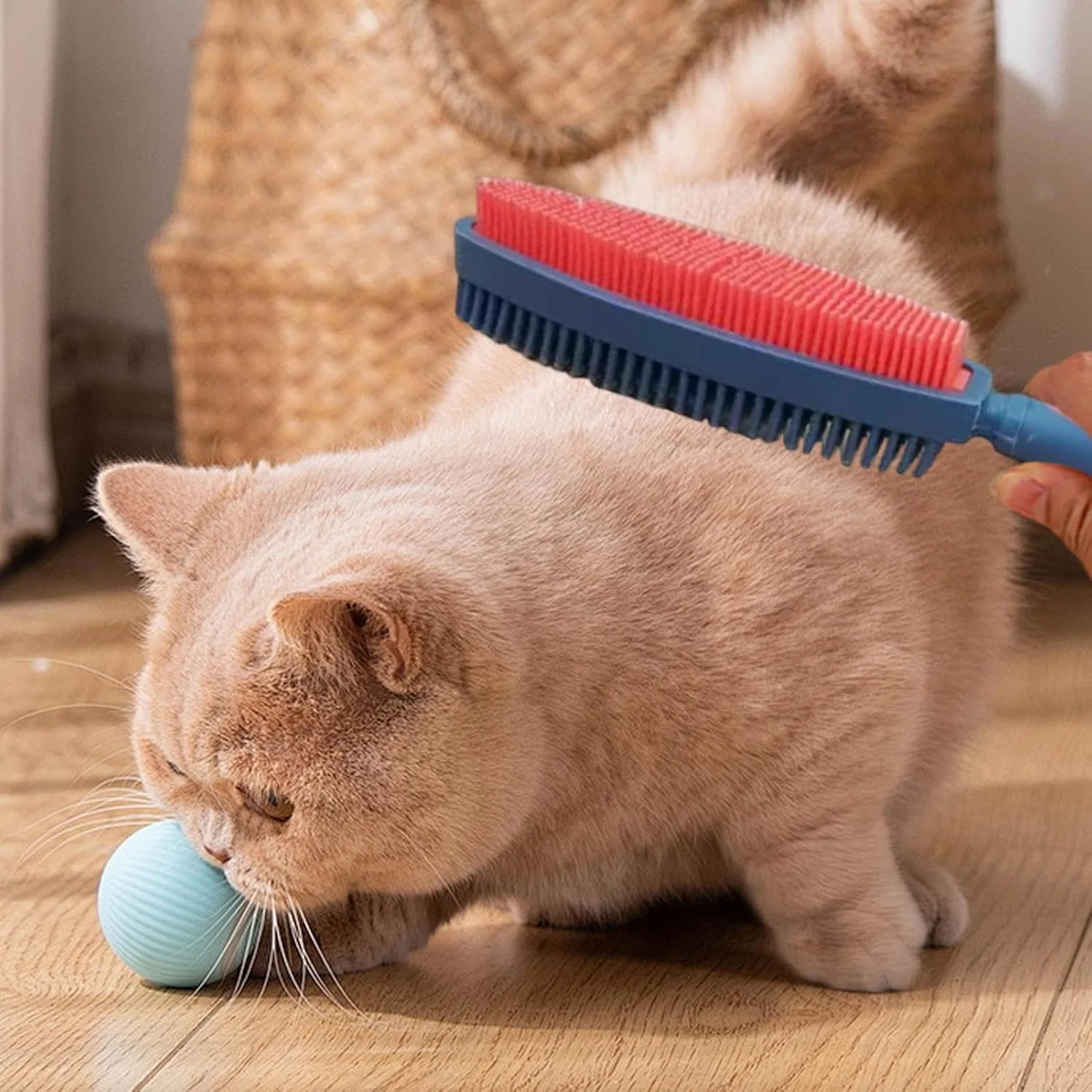 برس گربه - ابزار دو طرفه، برس حیوانات خانگی | برای تمیز کردن، حمام و شستشوی موی خرگوش، بچه گربه و توله سگ