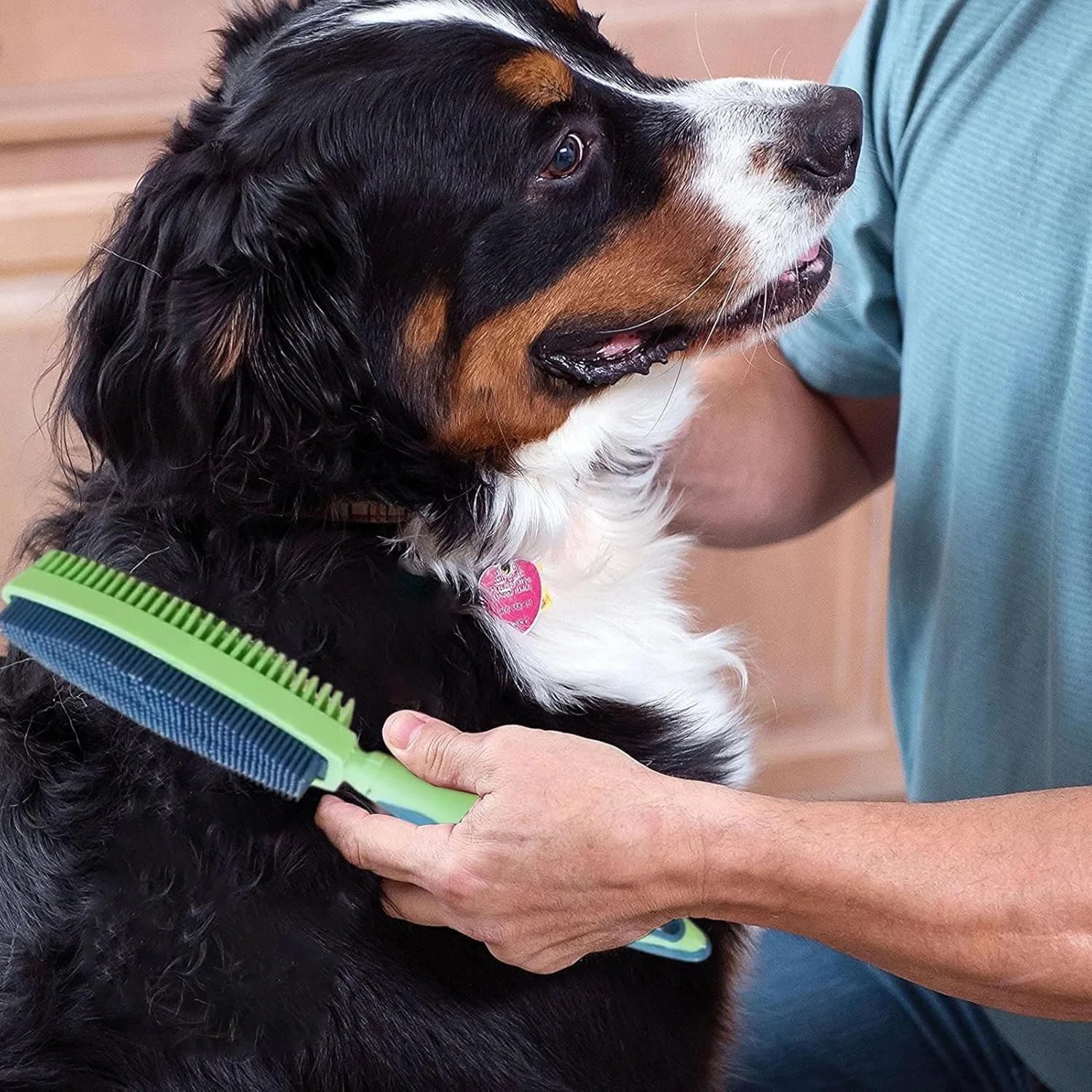 برس سگ | ابزار حرفه ای دو طرفه برای نظافت - برس نظافت سگ - برای تمیز کردن حمام و از بین بردن ریزش موی حیوانات خانگی مانند خرگوش، بچه گربه و توله سگ
