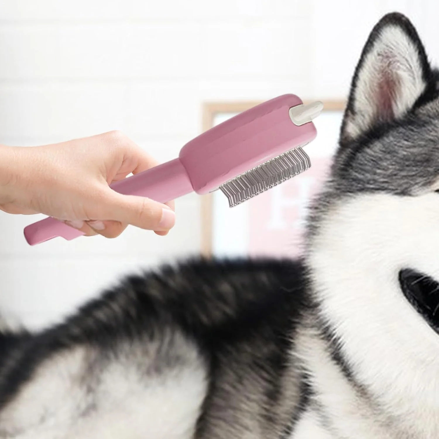 برس موی گربه، ضد لغزش با دکمه رهاسازی، شانه باز کننده گره موی بچه گربه، برای ماساژ، حمام کردن گربه ها و سگ های مو بلند و کوتاه، مناسب فضای داخلی و خارجی برس موی گربه، ضد لغزش با دکمه رهاسازی، شانه باز کننده گره موی بچه گربه، برای ماساژ، حمام کردن گربه ها و سگ های مو بلند و کوتاه، مناسب فضای داخلی و خارجی
