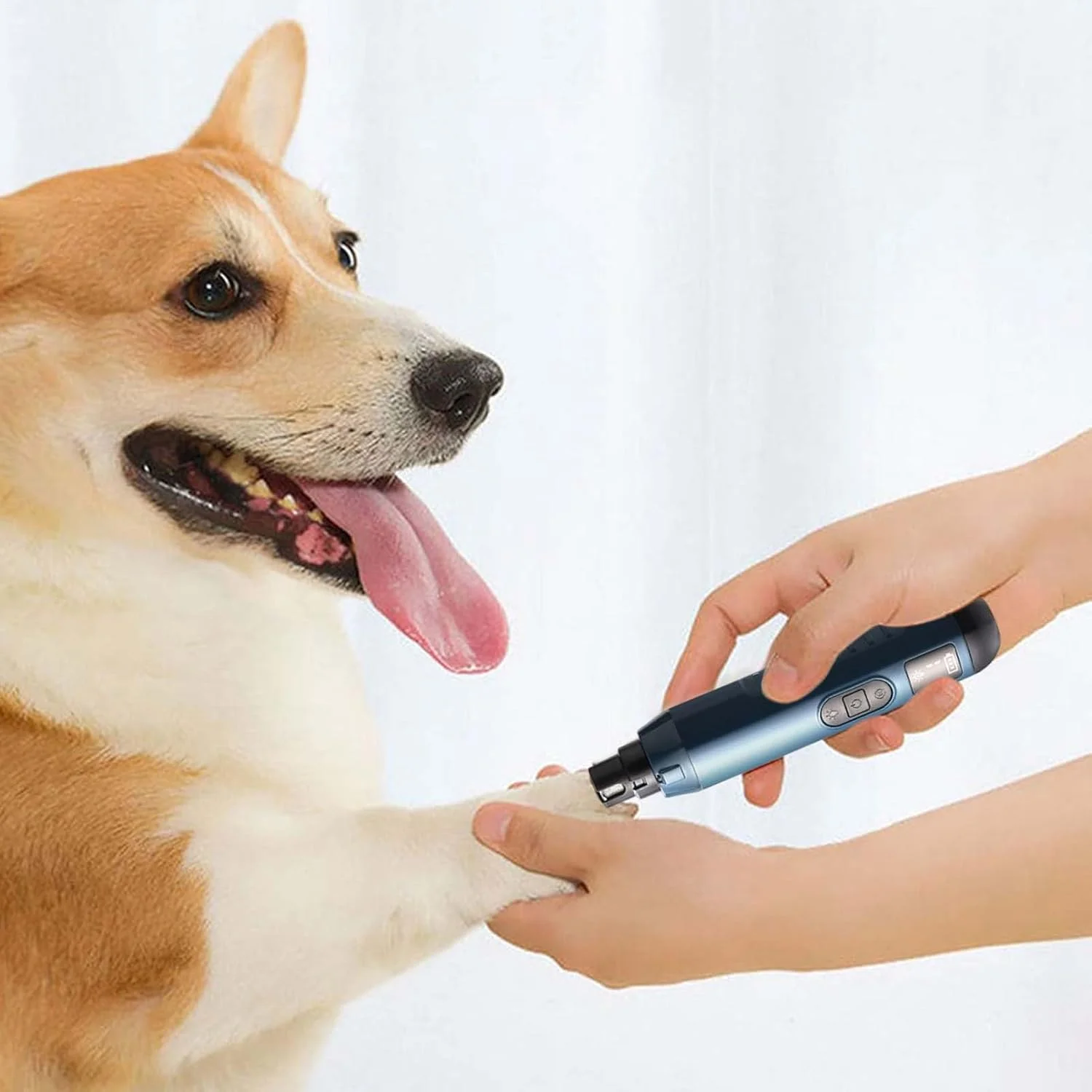 سوهان برقی ناخن سگ - ابزار پیرایش پنجه - سوهان برقی بی صدا 5 سرعته USB قابل شارژ برای پیرایش و مراقبت از ناخن پنجه سگ گربه توله سگ حیوان خانگی سوهان برقی ناخن سگ - ابزار پیرایش پنجه - سوهان برقی بی صدا 5 سرعته USB قابل شارژ برای پیرایش و مراقبت از ناخن پنجه سگ گربه توله سگ حیوان خانگی