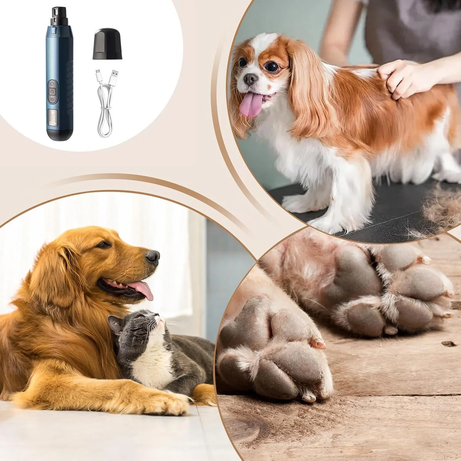 سوهان برقی ناخن سگ - ابزار پیرایش پنجه - سوهان برقی بی صدا 5 سرعته USB قابل شارژ برای پیرایش و مراقبت از ناخن پنجه سگ گربه توله سگ حیوان خانگی سوهان برقی ناخن سگ - ابزار پیرایش پنجه - سوهان برقی بی صدا 5 سرعته USB قابل شارژ برای پیرایش و مراقبت از ناخن پنجه سگ گربه توله سگ حیوان خانگی