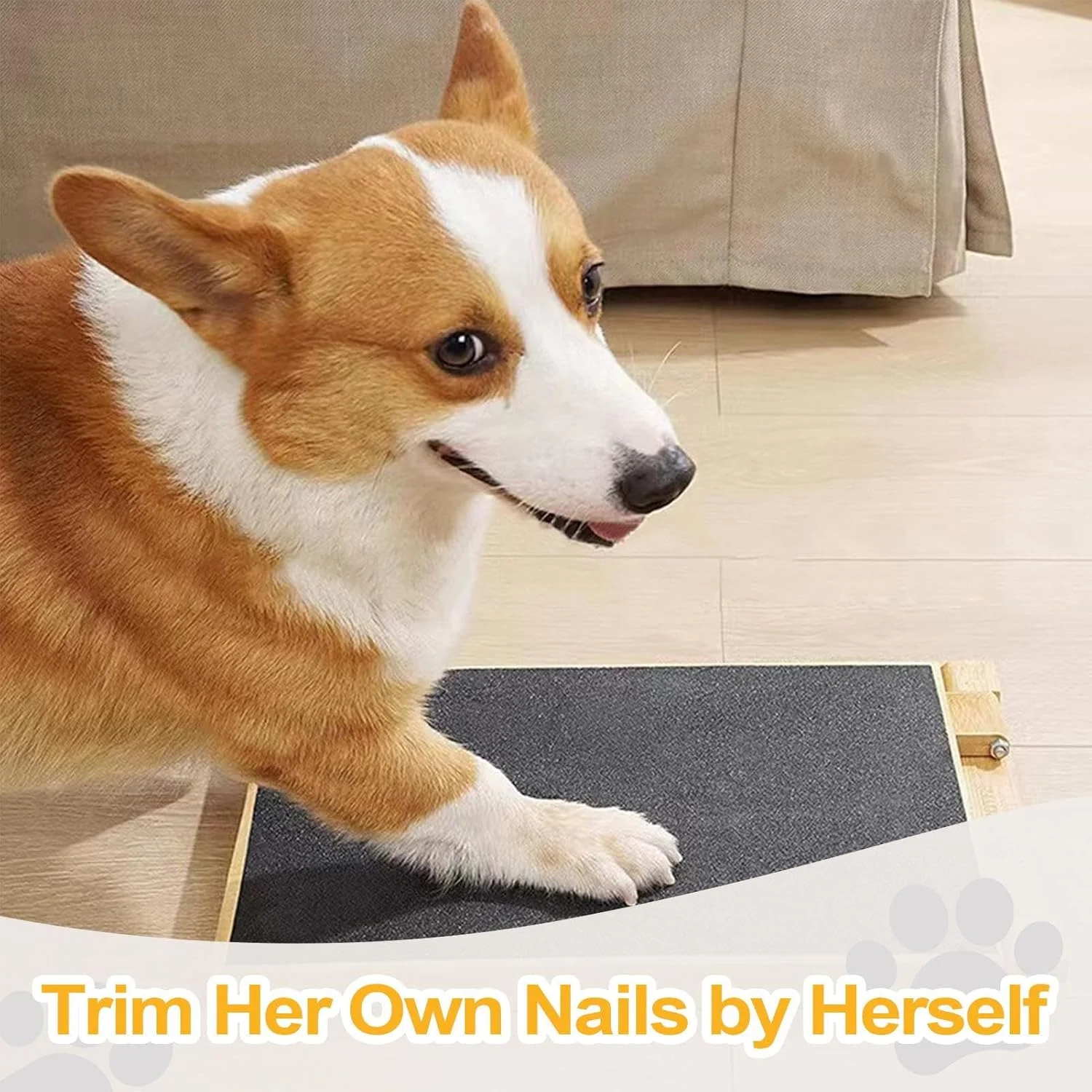 برد خراش برای سگ ها - برد ناخن سگ تاشو چوبی - مبلمان حیوانات خانگی برای نگهداری پنجه توله سگ سالمند در خانه و مسافرت در فضای باز