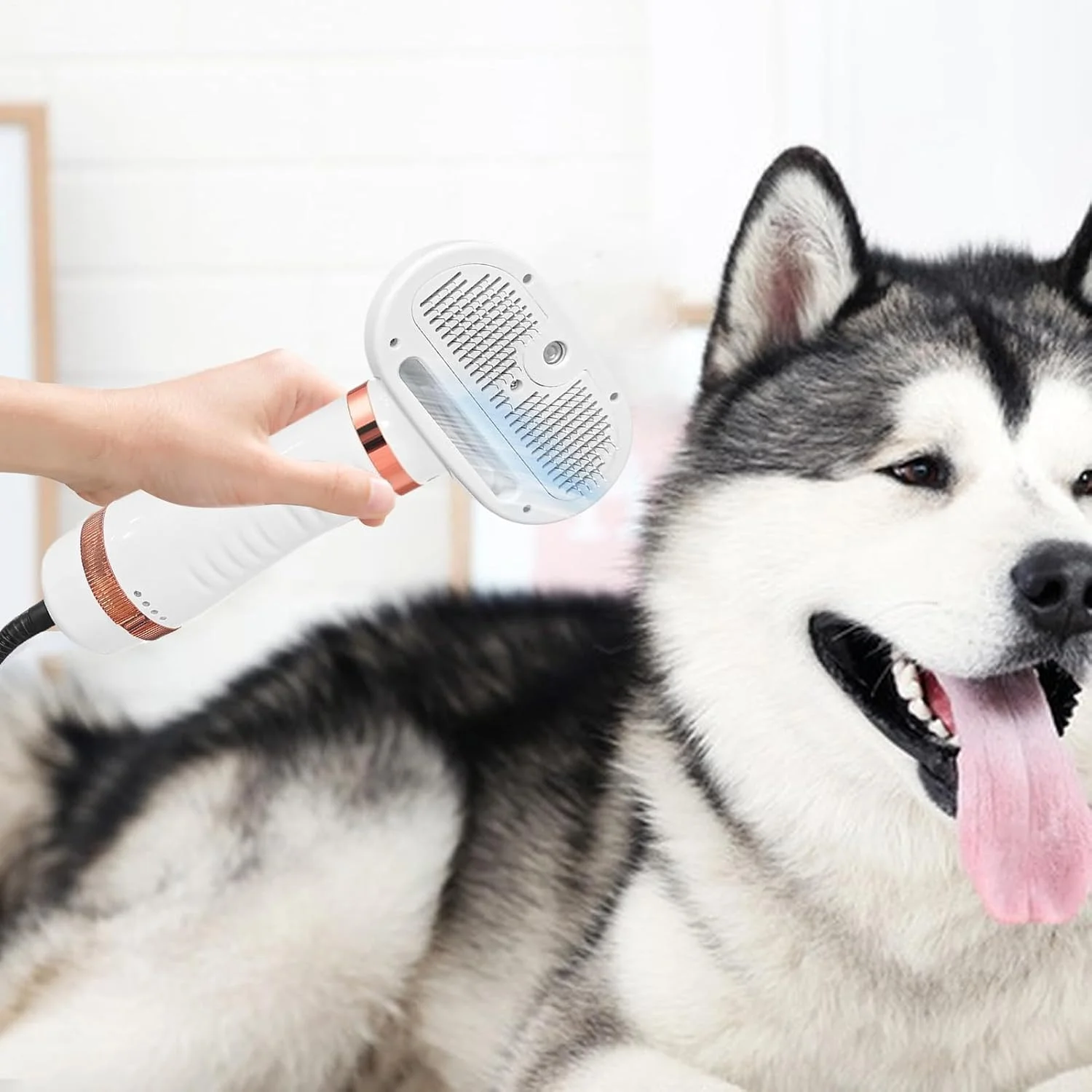 سشوار موی حیوانات خانگی، سشوار قابل حمل برای سگ و گربه - دستگاه خشک کن مو کم صدا برای توله سگ گربه سالن سگ خانگی مسافرتی قابل حمل