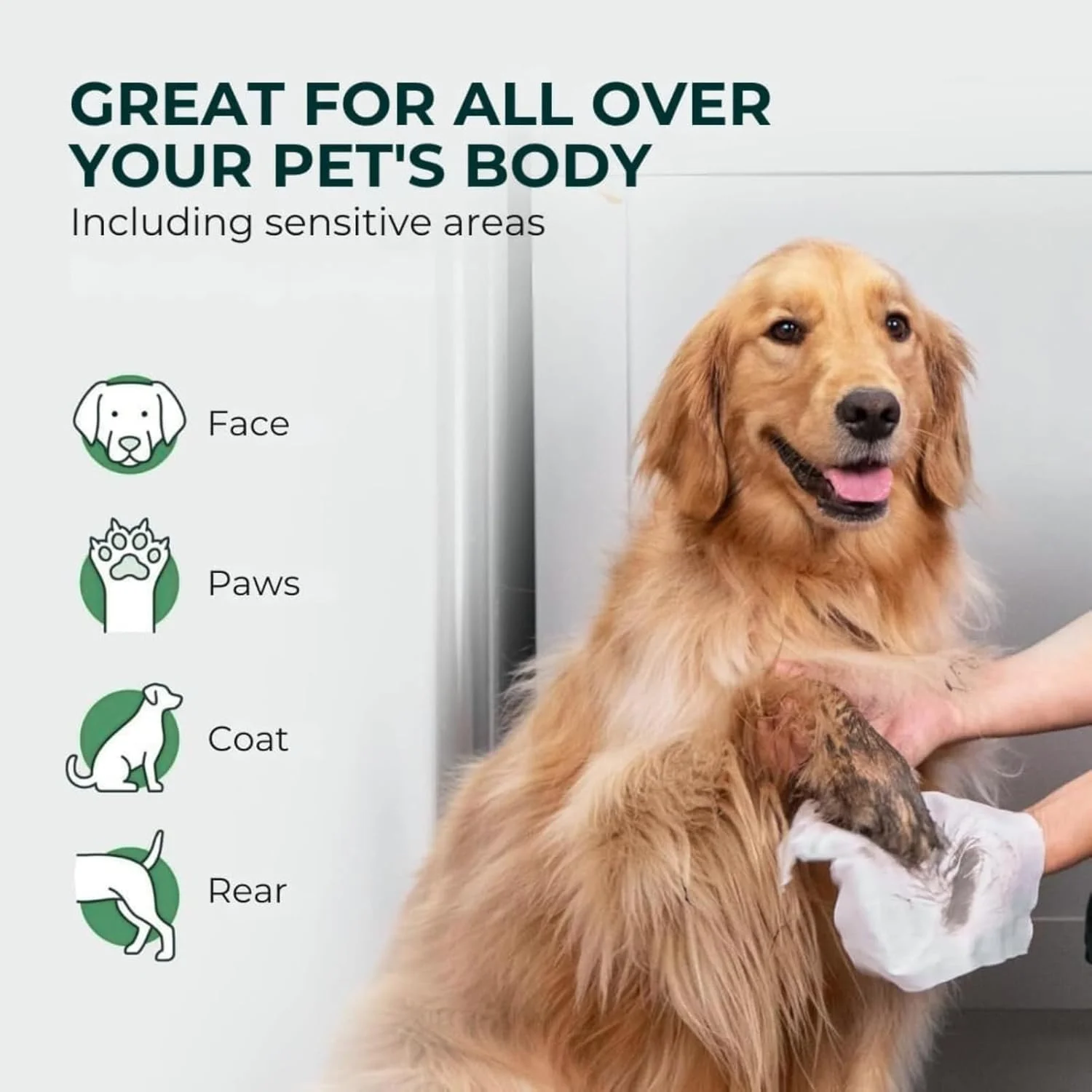 دستمال مرطوب سگ و گربه زیست تخریب پذیر 100 عددی | بسته 1/6/9 عددی، دستمال مرطوب تمیز کننده ضد حساسیت و سازگار با محیط زیست برای سگ ها و گربه ها، ایمن برای لیسیدن، غیر آلرژی زا، مناسب برای استفاده در داخل و خارج از خانه (بسته 1 عددی) دستمال مرطوب سگ و گربه زیست تخریب پذیر 100 عددی | بسته 1/6/9 عددی، دستمال مرطوب تمیز کننده ضد حساسیت و سازگار با محیط زیست برای سگ ها و گربه ها، ایمن برای لیسیدن، غیر آلرژی زا، مناسب برای استفاده در داخل و خارج از خانه (بسته 1 عددی)