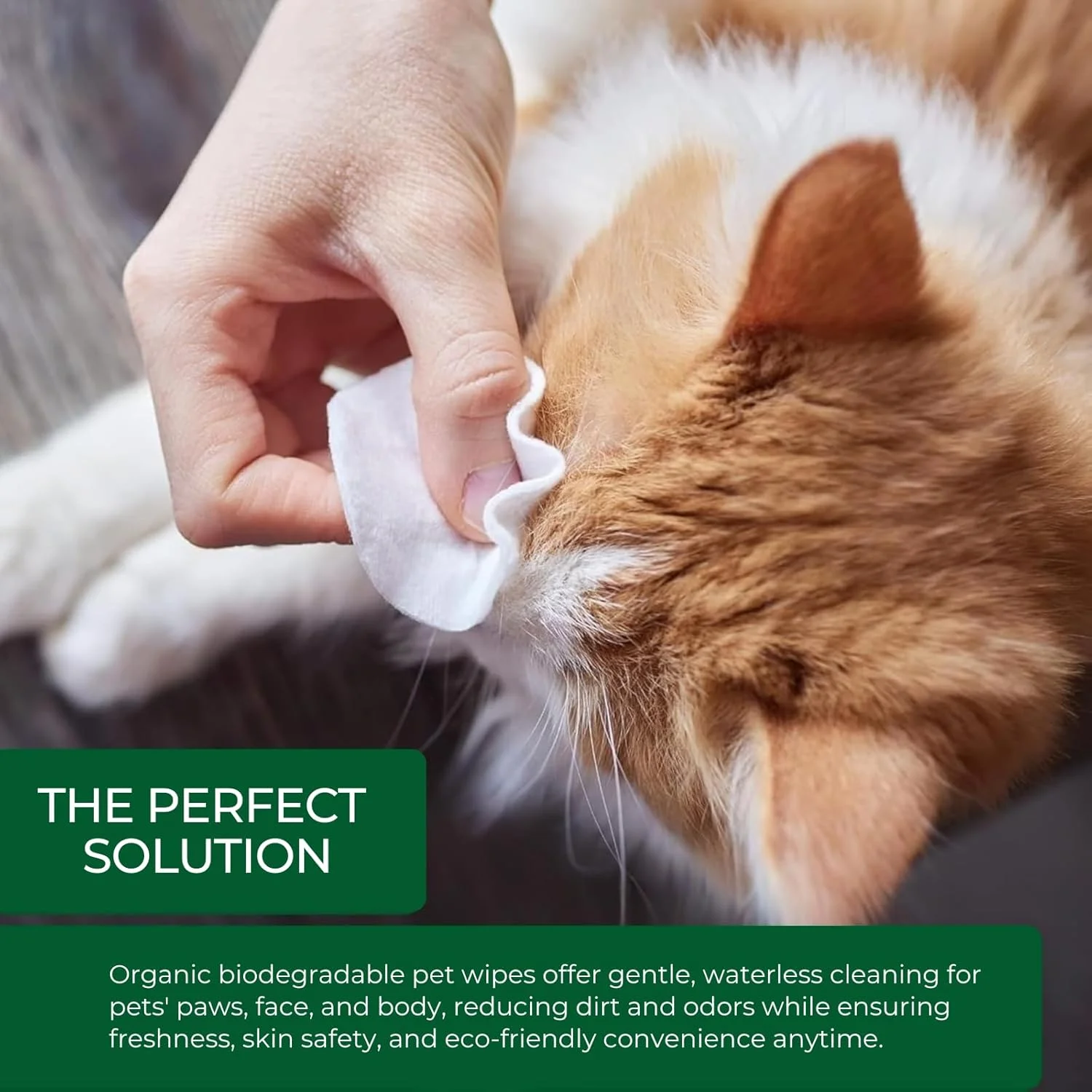 دستمال مرطوب سگ و گربه زیست تخریب پذیر 100 عددی | بسته 1/6/9 عددی، دستمال مرطوب تمیز کننده ضد حساسیت و سازگار با محیط زیست برای سگ ها و گربه ها، ایمن برای لیسیدن، غیر آلرژی زا، مناسب برای استفاده در داخل و خارج از خانه (بسته 1 عددی) دستمال مرطوب سگ و گربه زیست تخریب پذیر 100 عددی | بسته 1/6/9 عددی، دستمال مرطوب تمیز کننده ضد حساسیت و سازگار با محیط زیست برای سگ ها و گربه ها، ایمن برای لیسیدن، غیر آلرژی زا، مناسب برای استفاده در داخل و خارج از خانه (بسته 1 عددی)