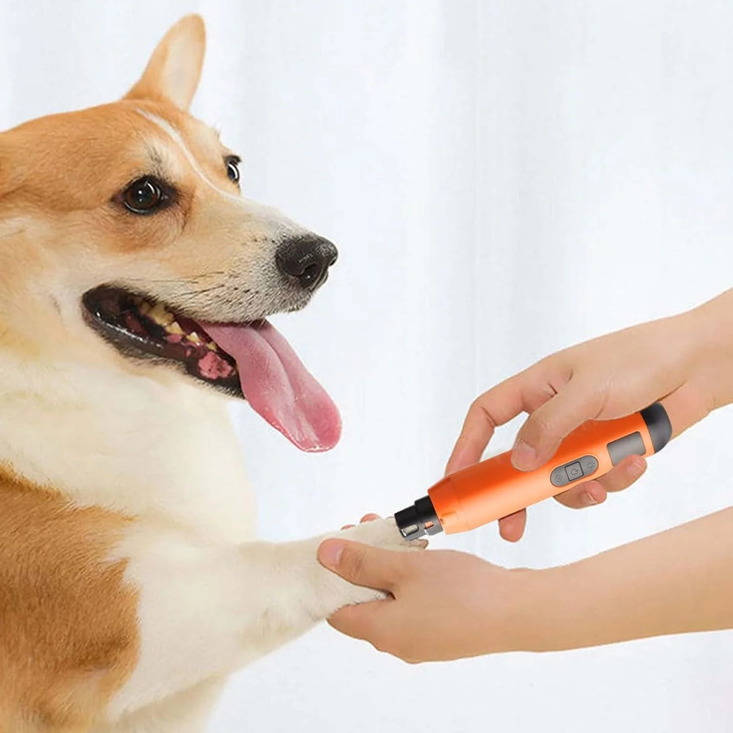 سوهان ناخن سگ بی صدا | ماشین اصلاح ناخن توله سگ | سوهان برقی 5 سرعته قابل شارژ USB برای مراقبت و اصلاح ناخن پنجه سگ، توله سگ، گربه و حیوانات خانگی