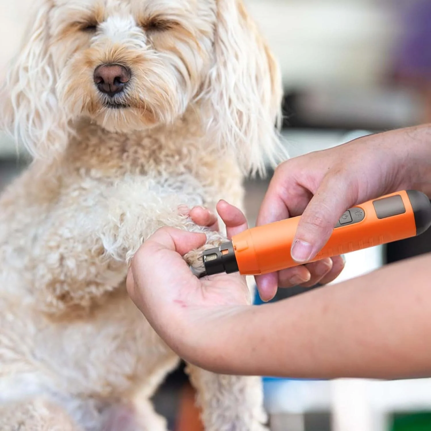 سوهان ناخن برقی سگ | ماشین اصلاح ناخن توله سگ - ابزار مراقبت از ناخن با سنگ زنی بی صدا و قابل شارژ USB با 5 سرعت برای ناخن پنجه سگ، بچه گربه، توله سگ و حیوانات خانگی