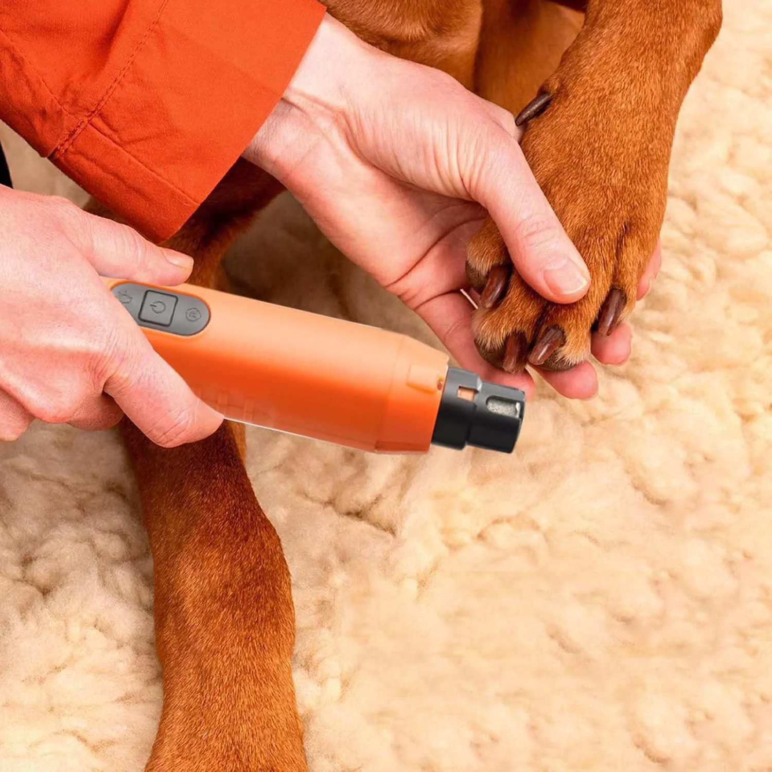سوهان ناخن برقی سگ | ماشین اصلاح ناخن توله سگ - ابزار مراقبت از ناخن با سنگ زنی بی صدا و قابل شارژ USB با 5 سرعت برای ناخن پنجه سگ، بچه گربه، توله سگ و حیوانات خانگی