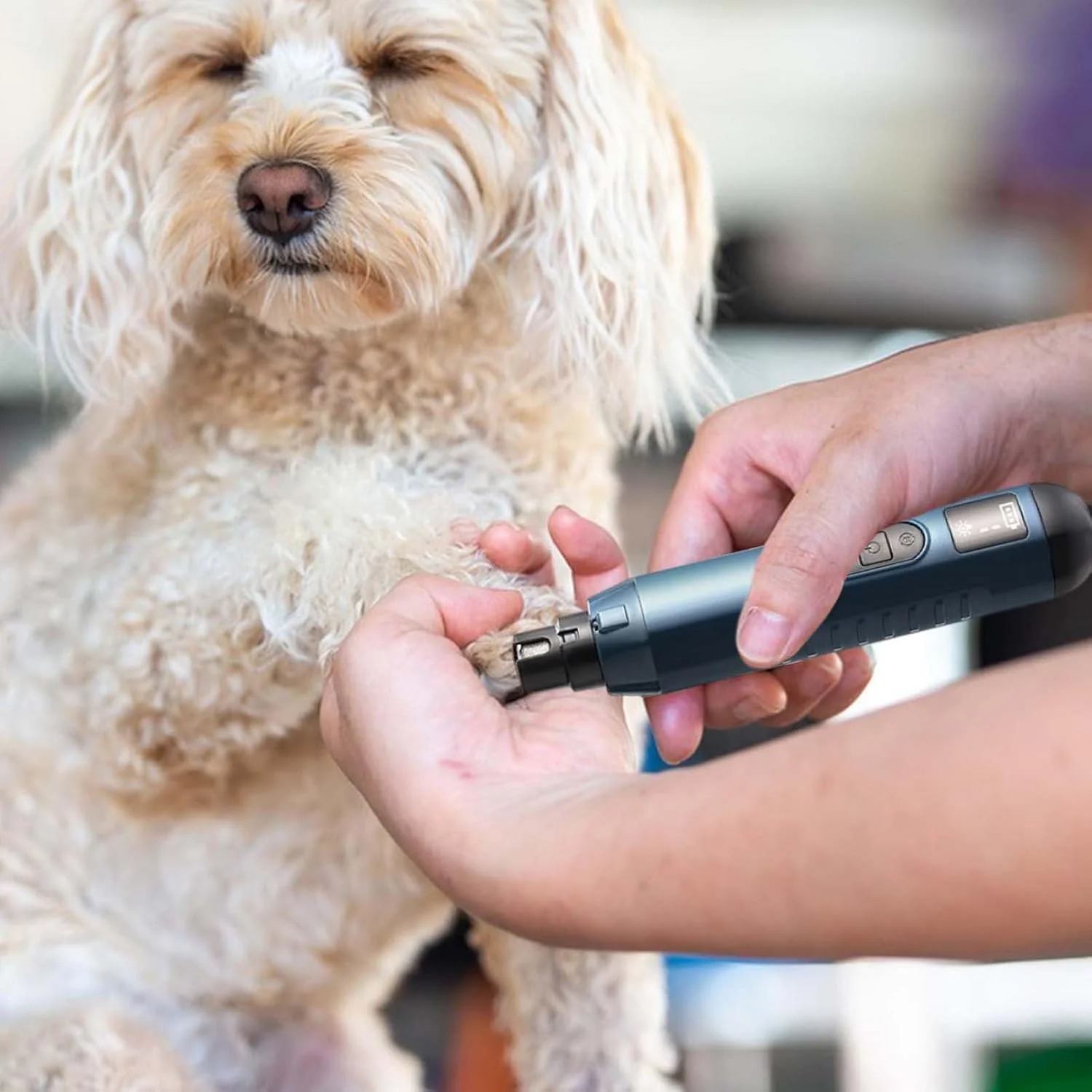 سوهان برقی ناخن سگ - ناخن گیر گربه | ابزار برقی USB قابل شارژ و بی صدا با 5 سرعت برای مراقبت از ناخن پنجه سگ، گربه، بچه گربه و نظافت حیوانات خانگی