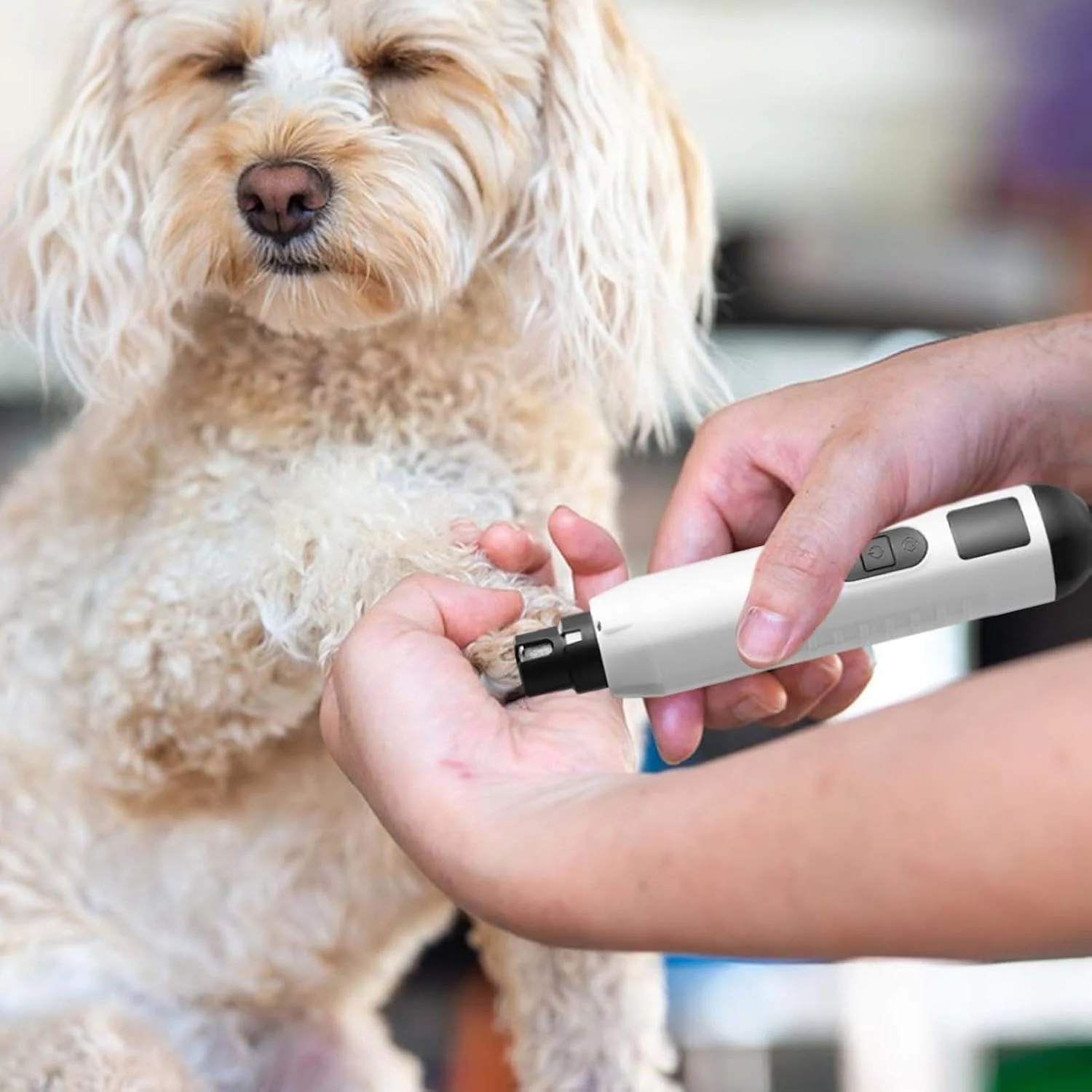 سوهان ناخن سگ | ناخن گیر گربه | سوهان برقی بی صدا با 5 سرعت و شارژ USB، ابزار مراقبت از ناخن پنجه حیوانات خانگی برای کوتاه کردن ناخن سگ، توله سگ، گربه و بچه گربه