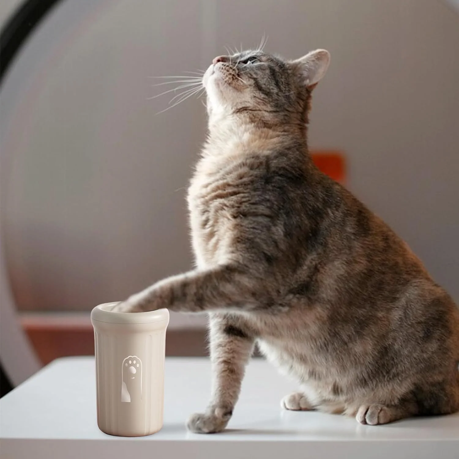 فنجان شستشوی پنجه سگ، تمیز کننده قابل حمل پنجه حیوانات خانگی برای سگ ها، گربه ها، بچه گربه ها و توله سگ های کوچک و متوسط، مناسب حمام، مسافرت های جاده ای، کمپینگ فنجان شستشوی پنجه سگ، تمیز کننده قابل حمل پنجه حیوانات خانگی برای سگ ها، گربه ها، بچه گربه ها و توله سگ های کوچک و متوسط، مناسب حمام، مسافرت های جاده ای، کمپینگ