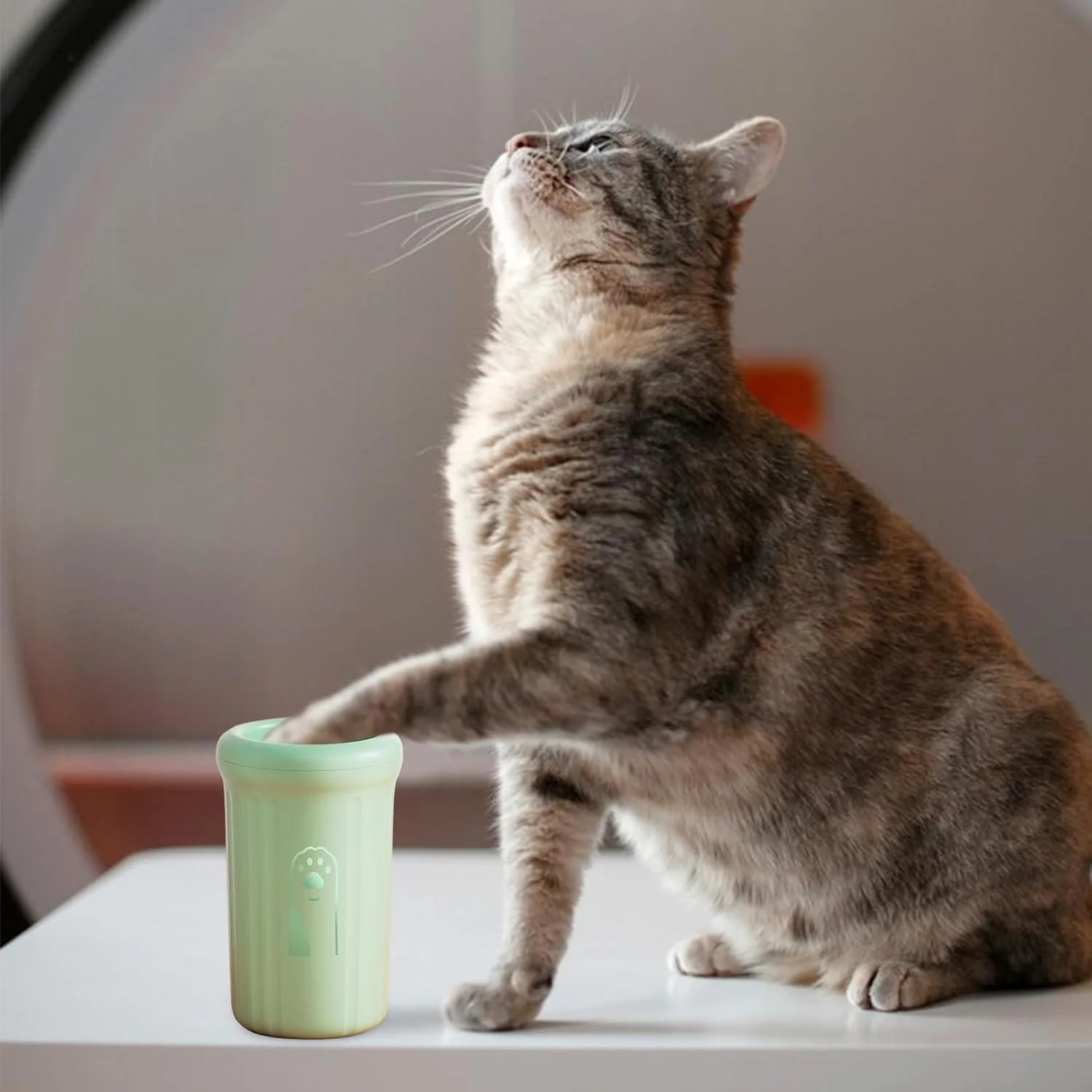 تمیز کننده پنجه سگ | فنجان شستشوی پای کثیف - دستگاه شستشوی قابل حمل پنجه برای حیوانات خانگی کوچک و متوسط، گربه ها، بچه گربه ها، توله سگ ها، مسافرت، کمپینگ و سفرهای جاده ای تمیز کننده پنجه سگ | فنجان شستشوی پای کثیف - دستگاه شستشوی قابل حمل پنجه برای حیوانات خانگی کوچک و متوسط، گربه ها، بچه گربه ها، توله سگ ها، مسافرت، کمپینگ و سفرهای جاده ای