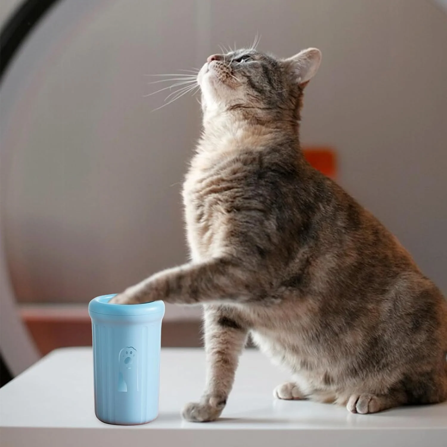 تمیز کننده پنجه سگ - فنجان شستشوی پای توله سگ، واشر پنجه حمام سگ برای حیوانات خانگی کوچک متوسط، توله سگ ها، بچه گربه ها، گربه ها، مسافرت های کمپینگ در فضای باز