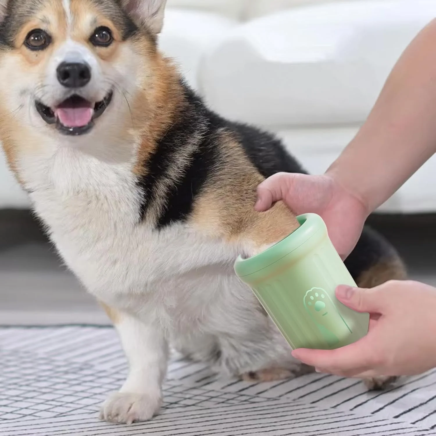 تمیز کننده پای سگ، فنجان شستشوی پای توله سگ - فنجان تمیز کننده پنجه سگ برای حیوانات خانگی گربه های کوچک متوسط ​​توله سگ ها شستشو مسافرت کمپینگ سفرهای جاده ای