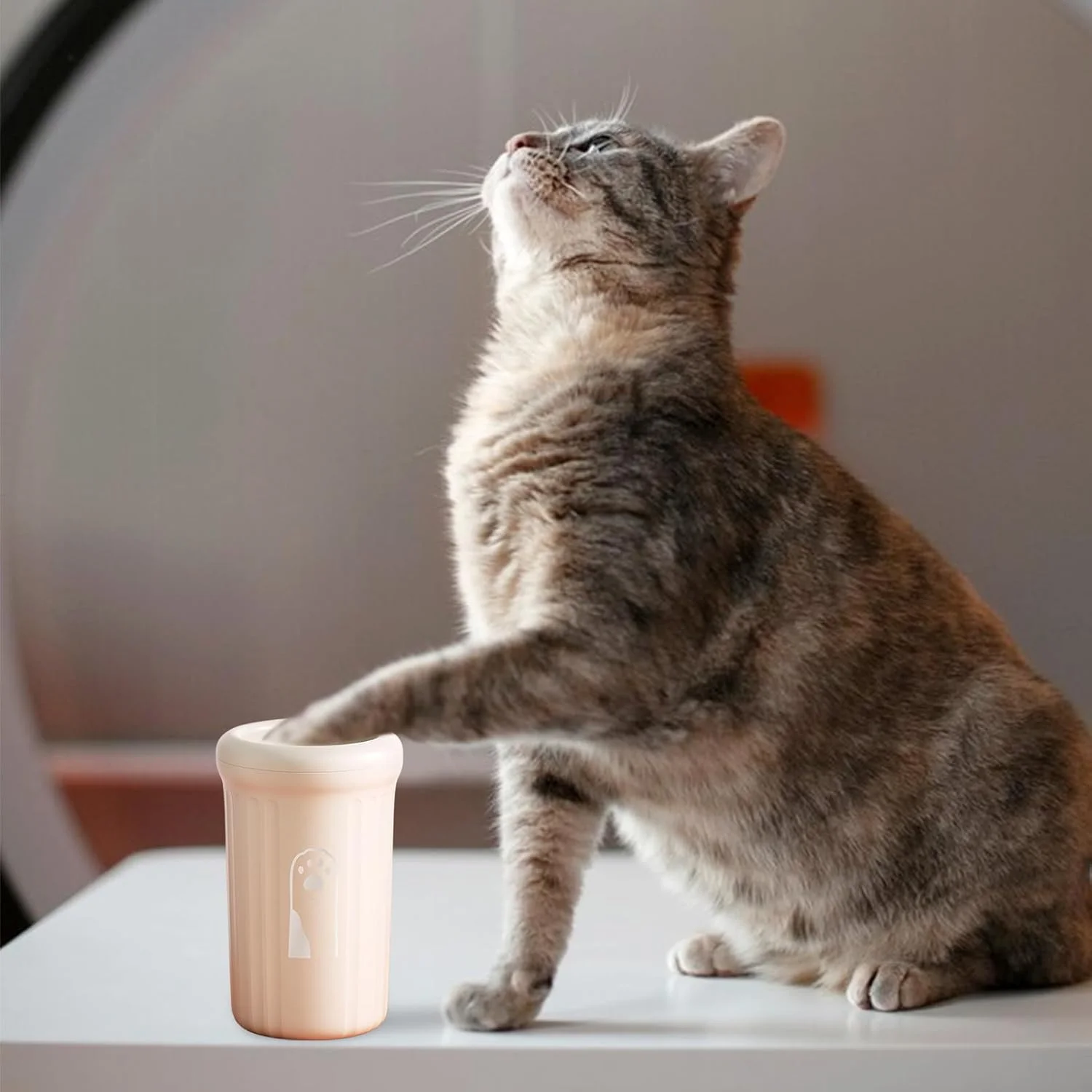 لیوان شستشوی پنجه سگ، فنجان تمیز کننده برای پاهای گلی، تمیز کننده پنجه سگ برای حیوانات خانگی سگ های کوچک متوسط گربه ها بچه گربه ها توله سگ ها مسافرت کمپینگ سفرهای جاده ای لیوان شستشوی پنجه سگ، فنجان تمیز کننده برای پاهای گلی، تمیز کننده پنجه سگ برای حیوانات خانگی سگ های کوچک متوسط گربه ها بچه گربه ها توله سگ ها مسافرت کمپینگ سفرهای جاده ای