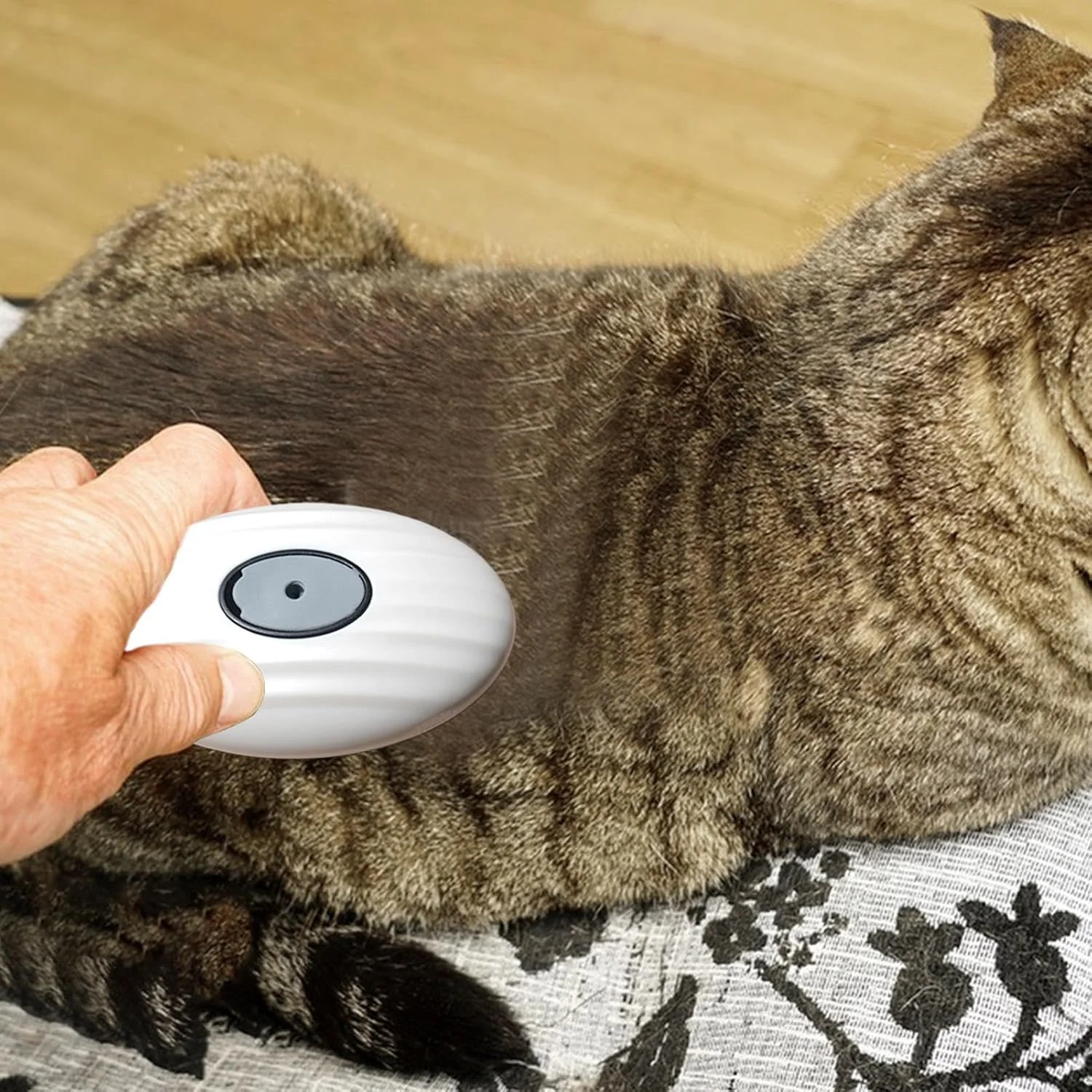 شانه حیوانات خانگی - برس جداشدنی برای نظافت و ریزش موی سگ | برس شانه نرم برای تمیز کردن داخلی توله سگ، نظافت خانگی، حمام بچه گربه، حیوانات کوچک