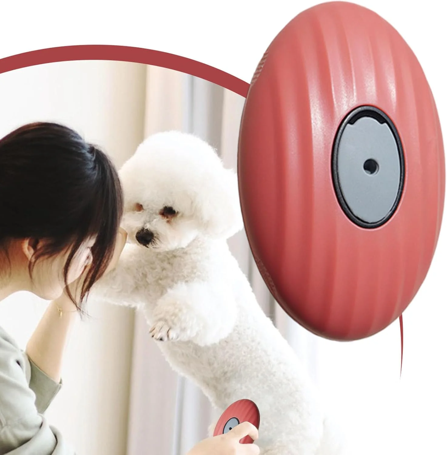 شانه موی حیوانات خانگی | برس نظافت سگ با قابلیت جدا شدن، شانه برس نرم برای حمام توله سگ، تمیز کردن جزئیات حمام بچه گربه، خانه، حیوانات کوچک داخل خانه