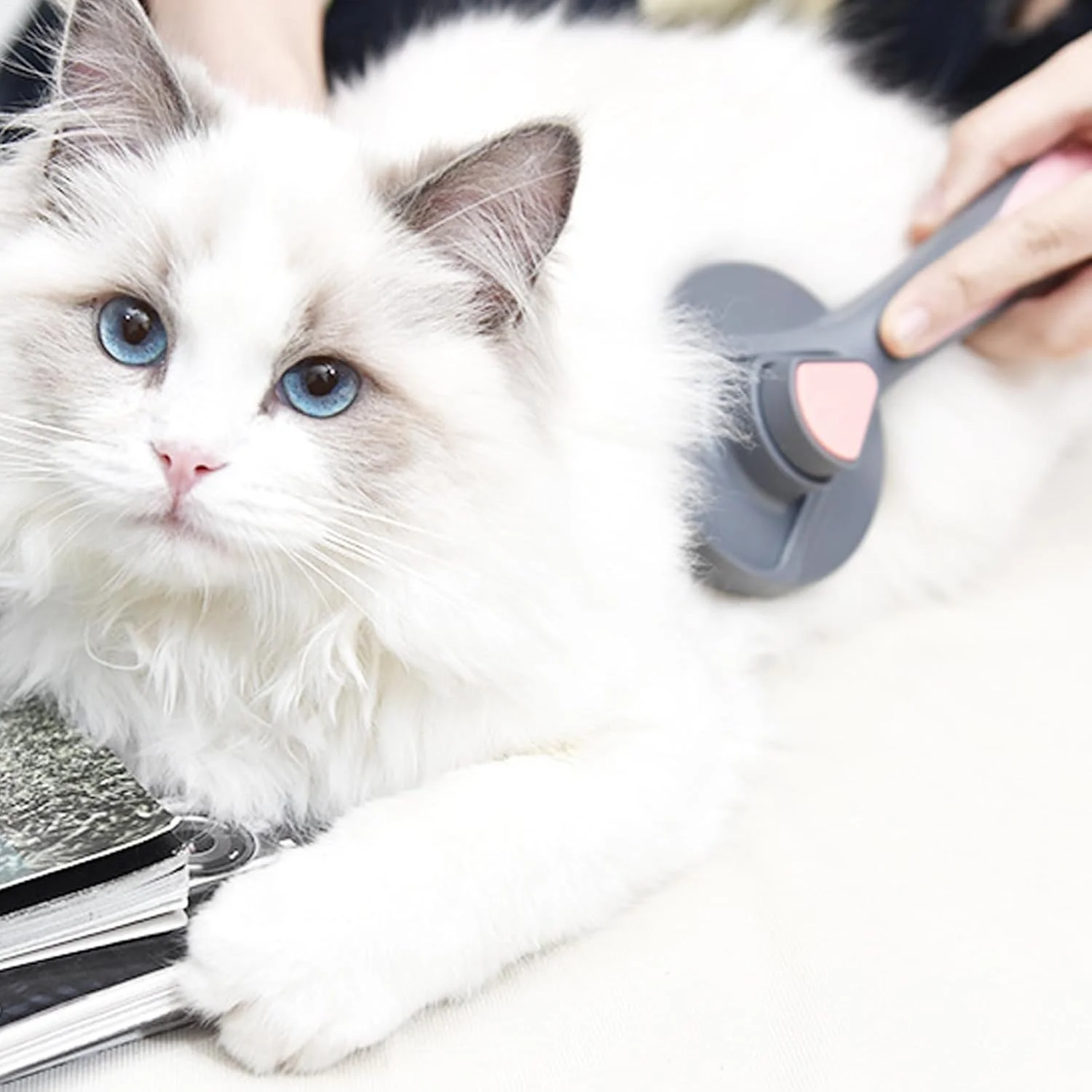 برس نظافت سگ | برس حمام نظافت موی بچه گربه، سازگار با پوست | برای سگ، بچه گربه، خرگوش، اسب مو کوتاه و بلند، مناسب استفاده روزانه در خانه و مسافرت، سایز کوچک و متوسط برس نظافت سگ | برس حمام نظافت موی بچه گربه، سازگار با پوست | برای سگ، بچه گربه، خرگوش، اسب مو کوتاه و بلند، مناسب استفاده روزانه در خانه و مسافرت، سایز کوچک و متوسط