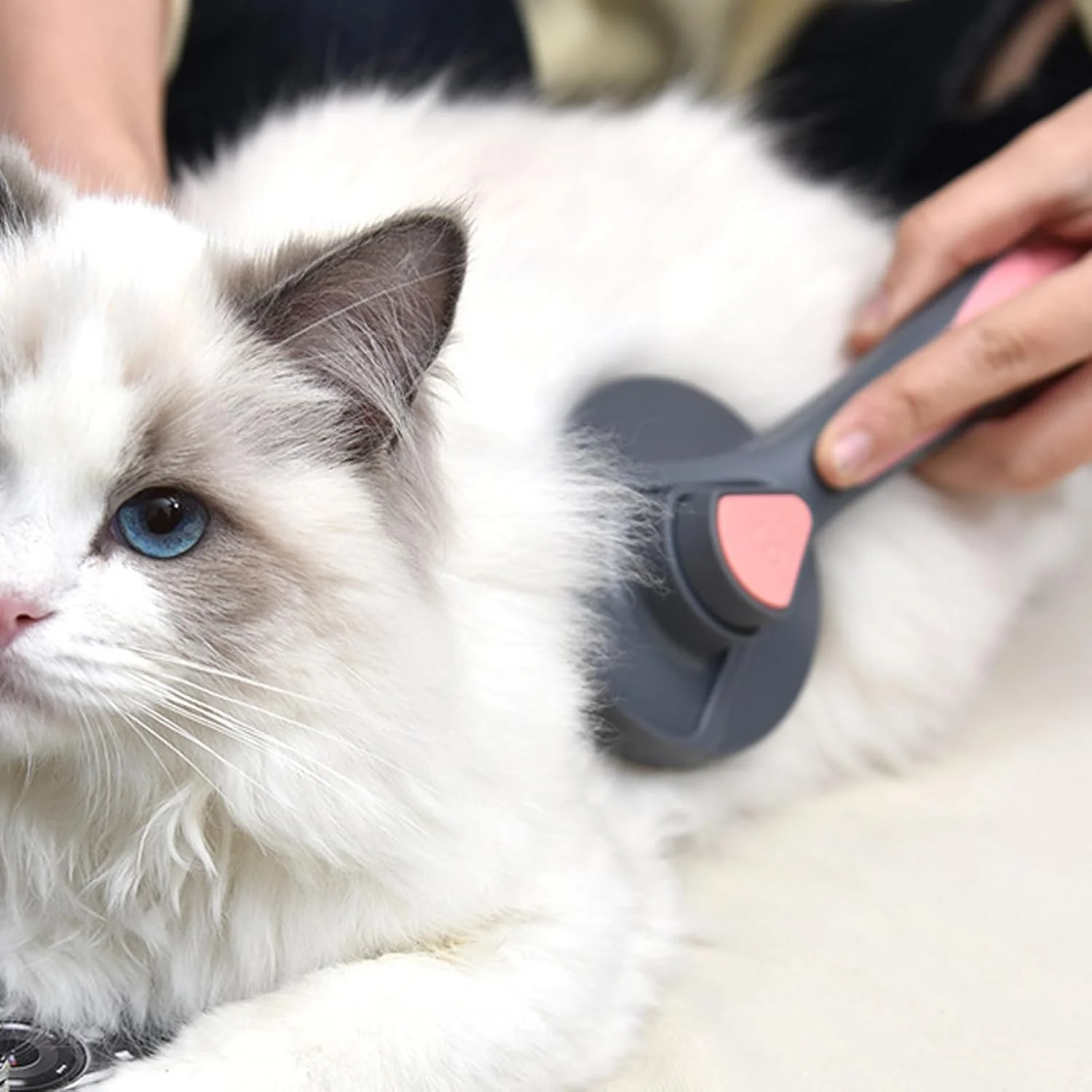 برس موی سگ - ابزار نظافت و شانه موی گربه - مناسب برای موهای کوتاه و بلند، استفاده روزانه در خانه و مسافرت، برای سگ، بچه گربه، خرگوش، اسب، نژادهای کوچک، متوسط و بزرگ