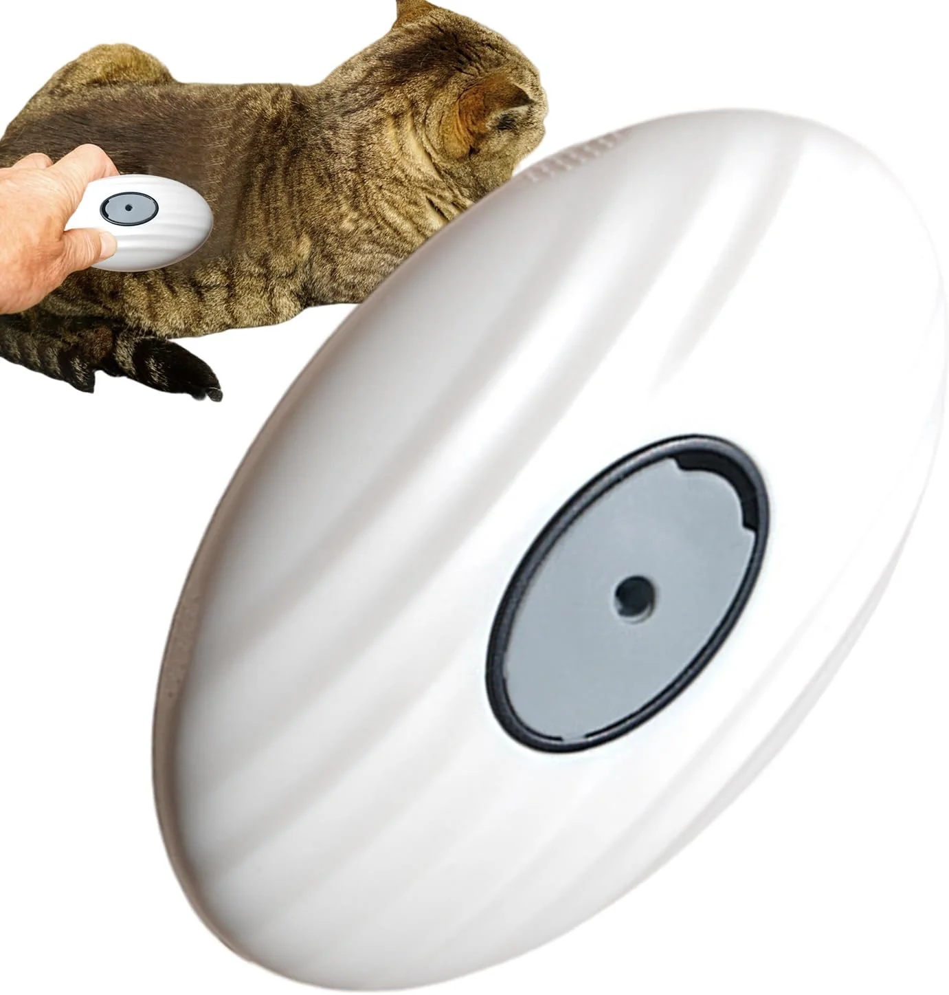 شانه نظافت حیوانات خانگی - برس جداشدنی ریزش موی حیوانات خانگی، برس شانه نرم برای تمیز کردن حمام، بچه گربه، جزئیات، خانه، حمام، توله سگ، حیوانات کوچک خانگی شانه نظافت حیوانات خانگی - برس جداشدنی ریزش موی حیوانات خانگی، برس شانه نرم برای تمیز کردن حمام، بچه گربه، جزئیات، خانه، حمام، توله سگ، حیوانات کوچک خانگی