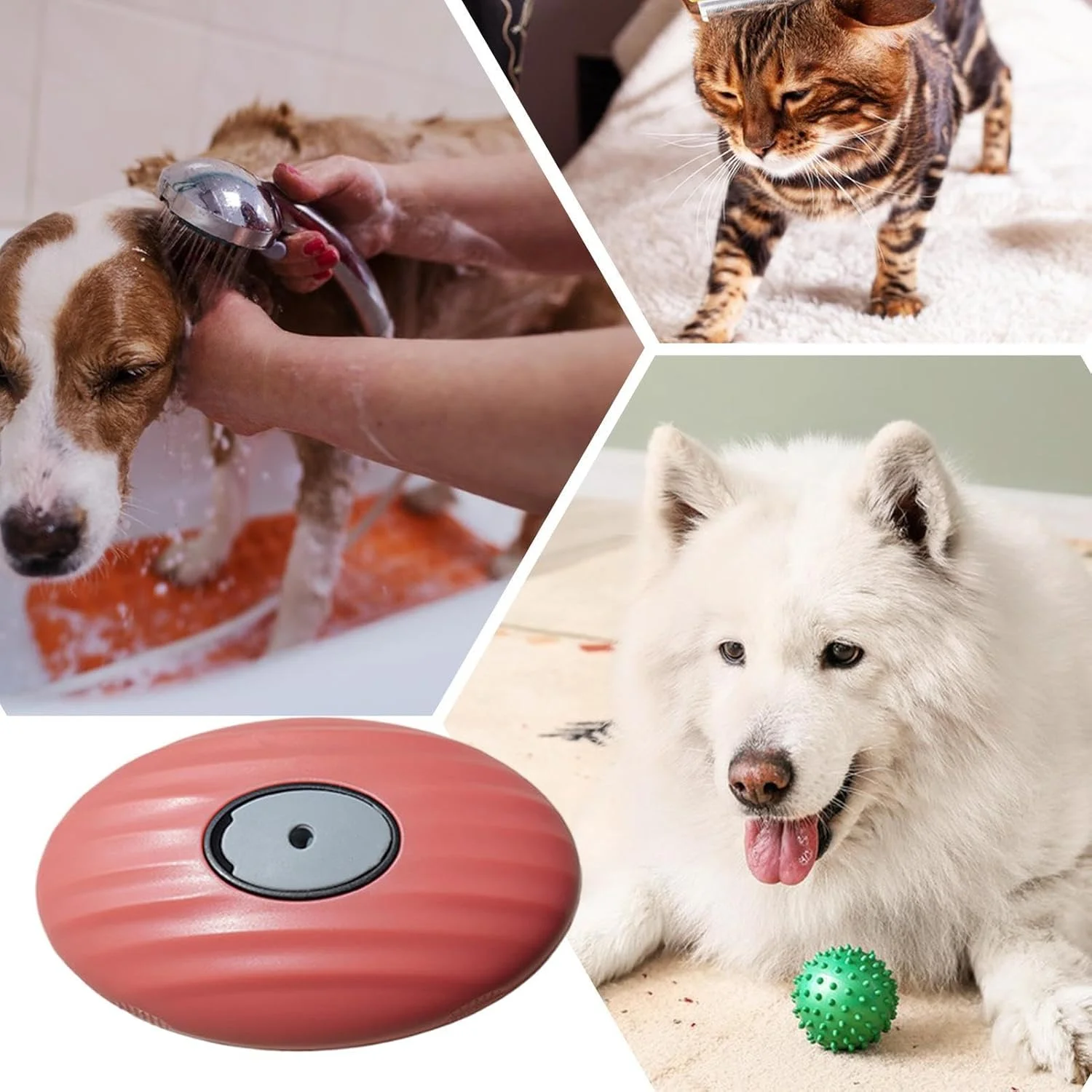 شانه حیوانات خانگی | برس نظافت سگ با قابلیت جدا شدن | برس شانه نرم برای تمیز کردن حمام، بچه گربه، جزئیات، حمام خانگی، توله سگ، حیوانات کوچک داخل خانه