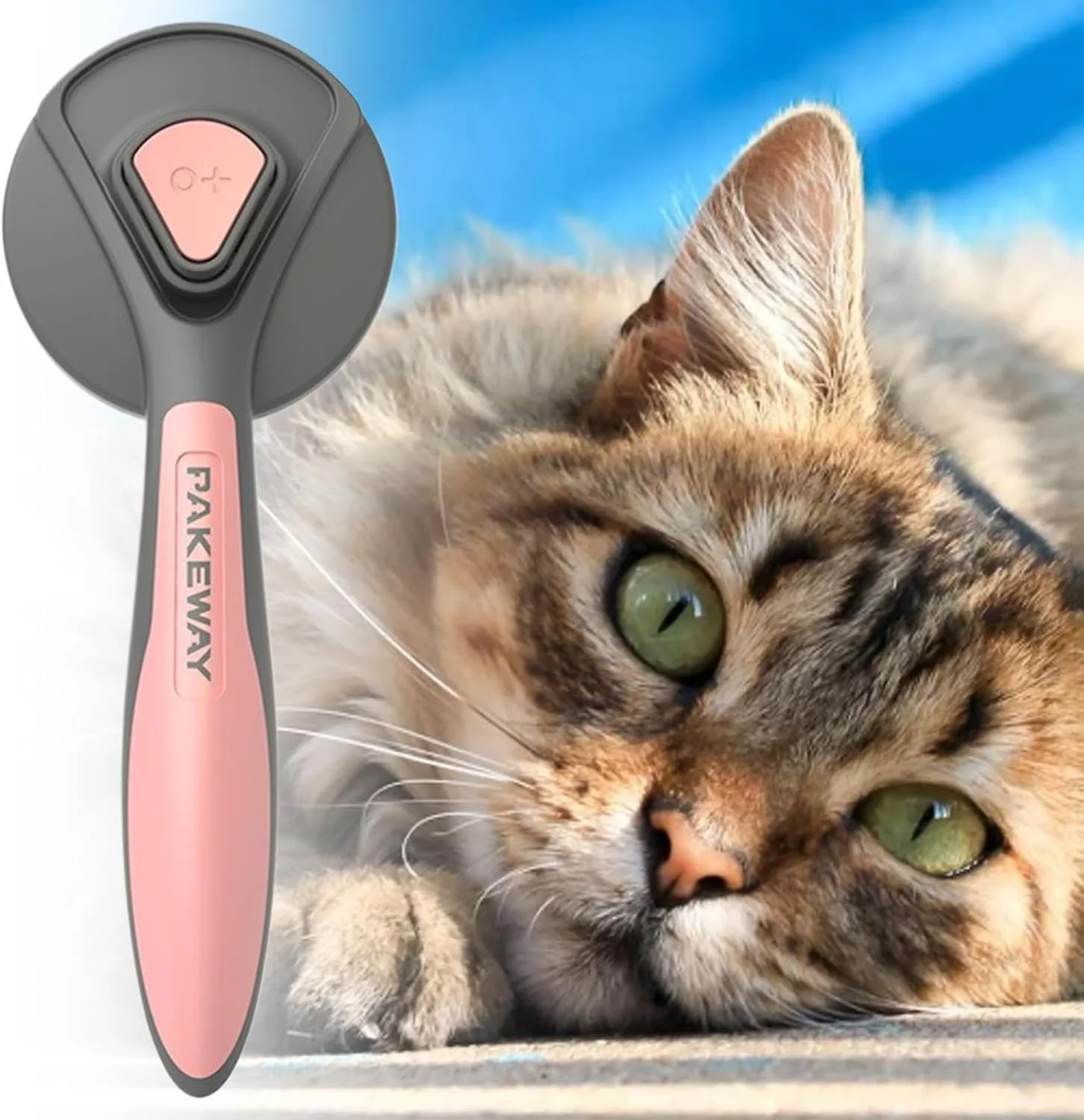 برس نظافت سگ، لوازم حیوانات خانگی ضد لغزش، شانه حمام ریزش موی حیوانات خانگی، برای سگ، گربه، خرگوش، اسب مو کوتاه و بلند، مناسب استفاده روزانه در خانه و مسافرت، سایز کوچک و متوسط برس نظافت سگ، لوازم حیوانات خانگی ضد لغزش، شانه حمام ریزش موی حیوانات خانگی، برای سگ، گربه، خرگوش، اسب مو کوتاه و بلند، مناسب استفاده روزانه در خانه و مسافرت، سایز کوچک و متوسط