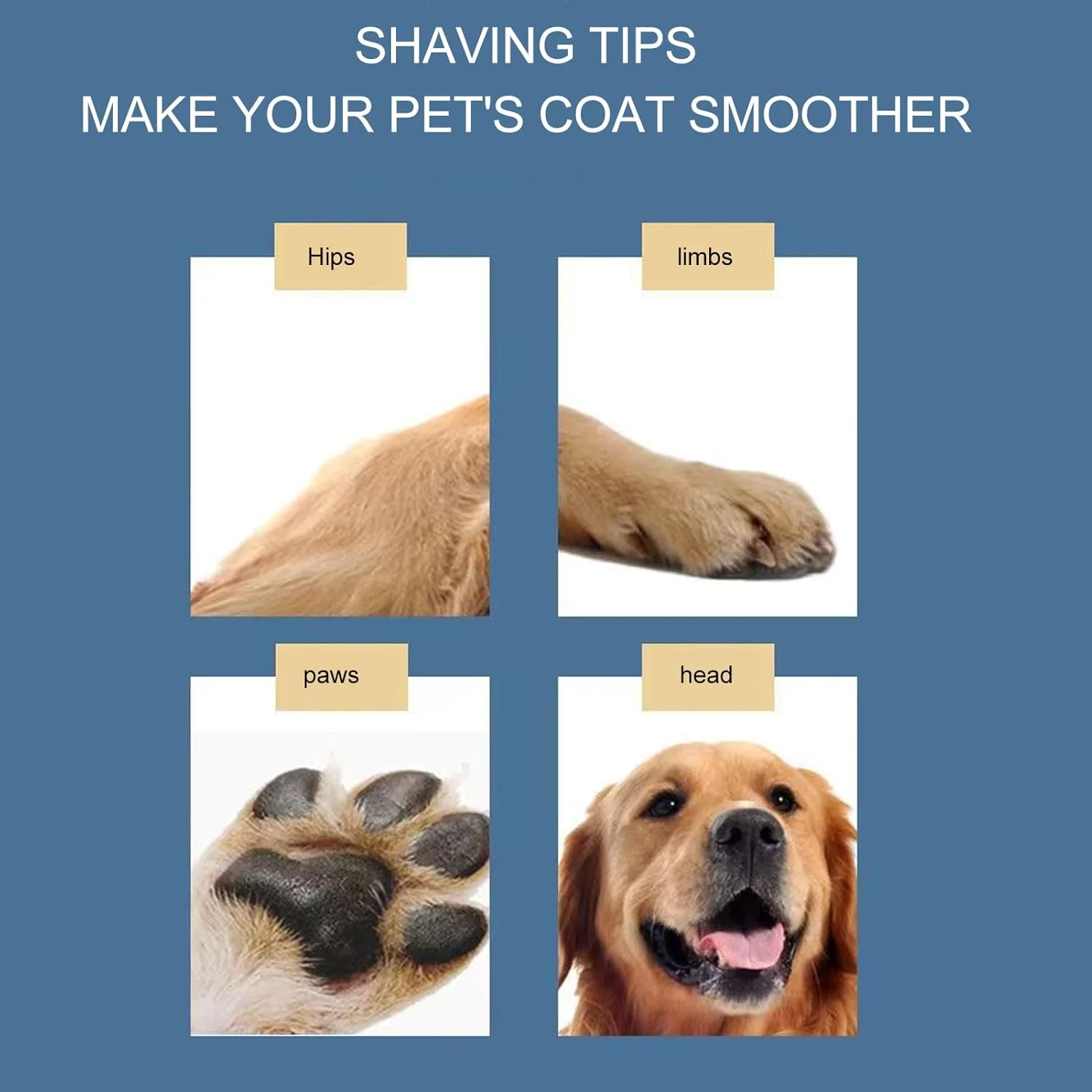 ماشین اصلاح موی سگ Asixxsix، ماشین اصلاح برقی بی سیم قابل شارژ با صدای کم، ابزار اصلاح حیوانات خانگی بی صدا و ضد لغزش با تیغه های استیل ضد زنگ برای سگ های کوچک و بزرگ، گربه ها، حیوانات خانگی (صورتی) ماشین اصلاح موی سگ Asixxsix، ماشین اصلاح برقی بی سیم قابل شارژ با صدای کم، ابزار اصلاح حیوانات خانگی بی صدا و ضد لغزش با تیغه های استیل ضد زنگ برای سگ های کوچک و بزرگ، گربه ها، حیوانات خانگی (صورتی)