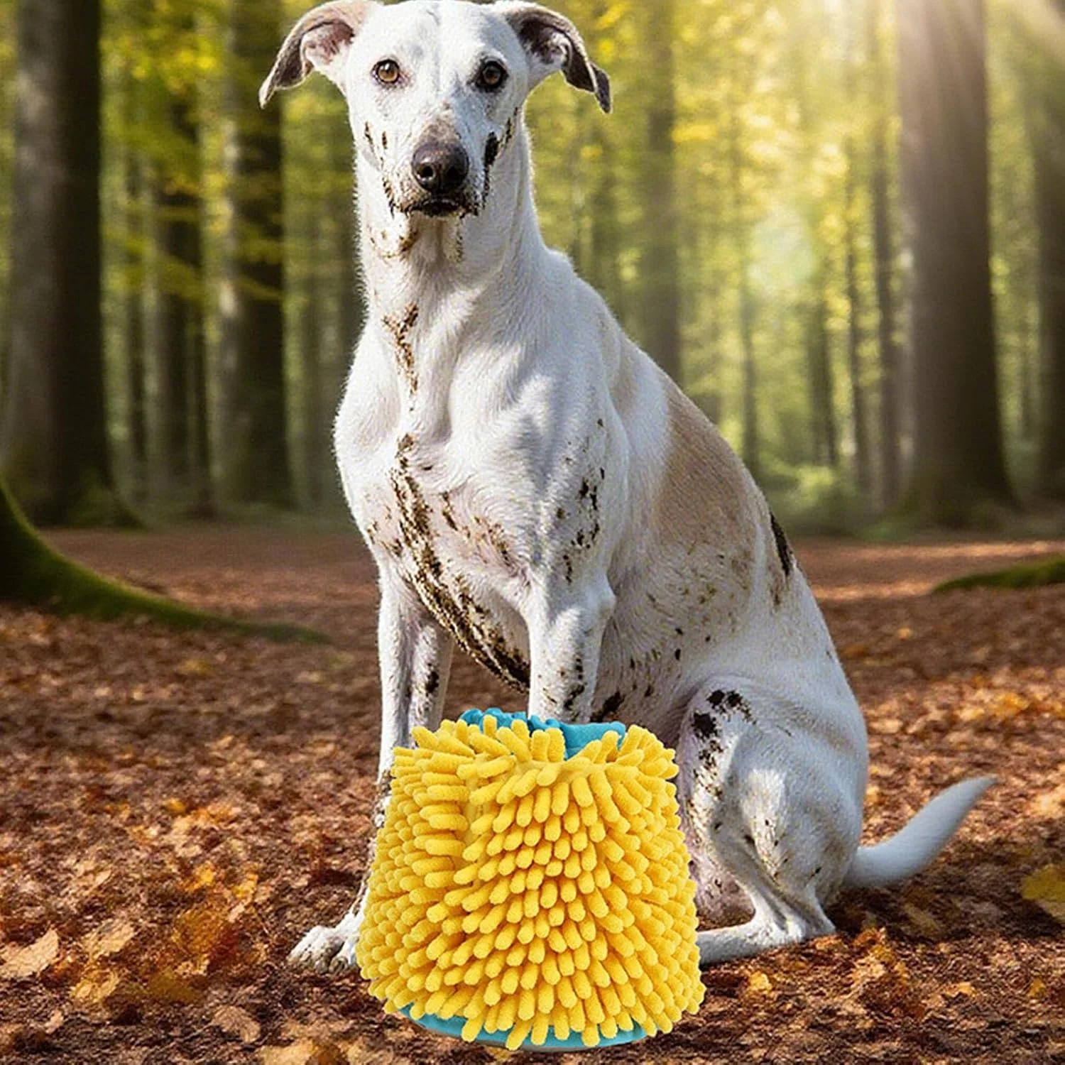 فنجان تمیز کننده پنجه سگ - لوازم تاشو نرم با آستر ضد آب، لوازم تمیز کننده پای حیوانات خانگی | برای نظافت، شستشو، حمام کردن پا در فضای باز، داخل خانه، کمپینگ، ساحل فنجان تمیز کننده پنجه سگ - لوازم تاشو نرم با آستر ضد آب، لوازم تمیز کننده پای حیوانات خانگی | برای نظافت، شستشو، حمام کردن پا در فضای باز، داخل خانه، کمپینگ، ساحل