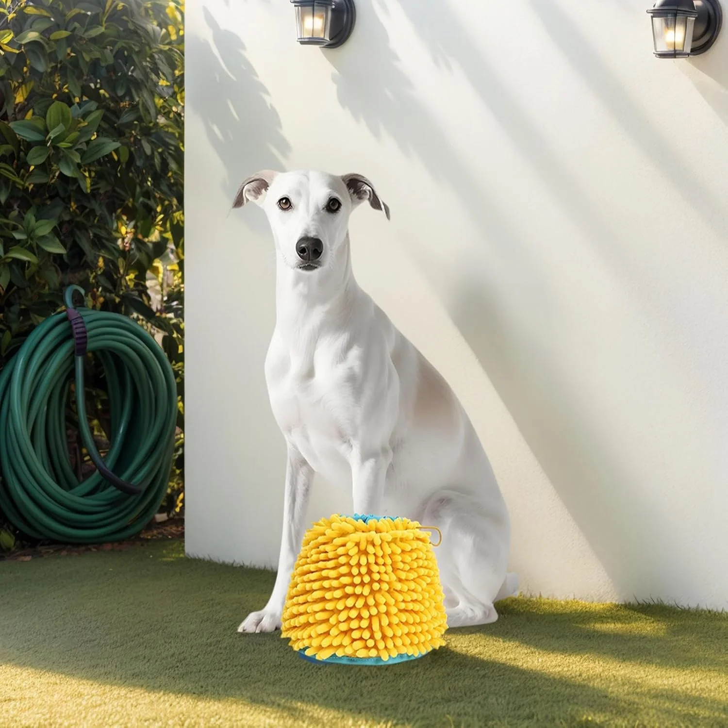 شوینده پنجه سگ، لوازم تاشو نرم و ضد لغزش - لوازم شوینده پا | برای نظافت، شستشو، حمام کردن پا، فضای باز، داخل خانه، کمپینگ، ساحل شوینده پنجه سگ، لوازم تاشو نرم و ضد لغزش - لوازم شوینده پا | برای نظافت، شستشو، حمام کردن پا، فضای باز، داخل خانه، کمپینگ، ساحل