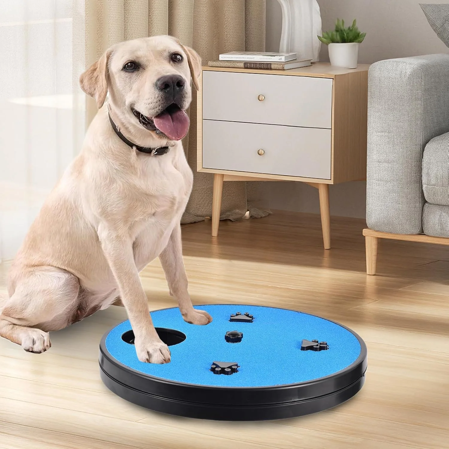 پد خراش سگ | با پازل چرخشی جعبه تشویقی، تخته ناخن چرخشی سگ | برای آموزش مبلمان، کف، ماشین، جستجو و بوییدن پد خراش سگ | با پازل چرخشی جعبه تشویقی، تخته ناخن چرخشی سگ | برای آموزش مبلمان، کف، ماشین، جستجو و بوییدن