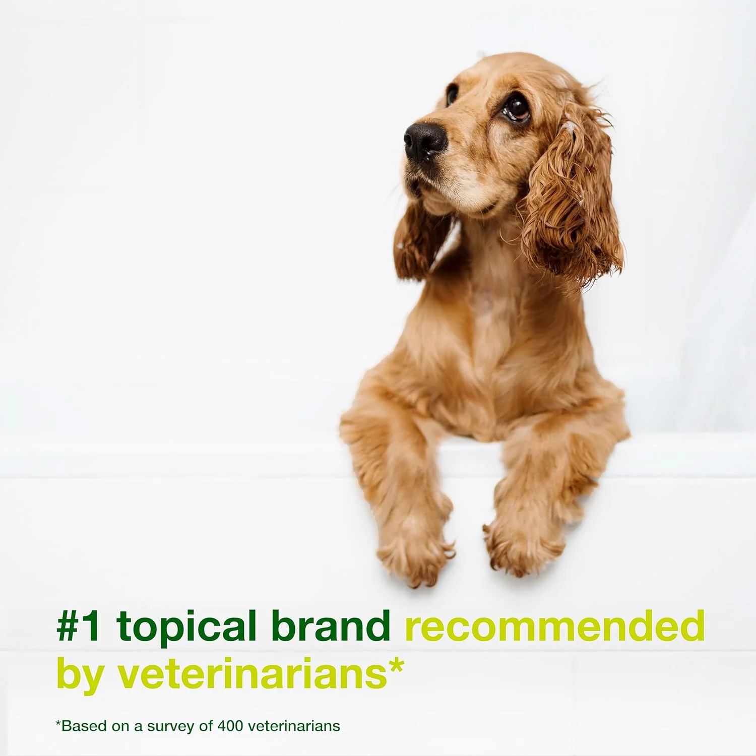 شامپو Douxo S3 SEB حجم 500 میلی لیتر - تسکین دهنده سبوره در سگ ها و گربه ها (کمک به پوست چرب تا پوسته پوسته)