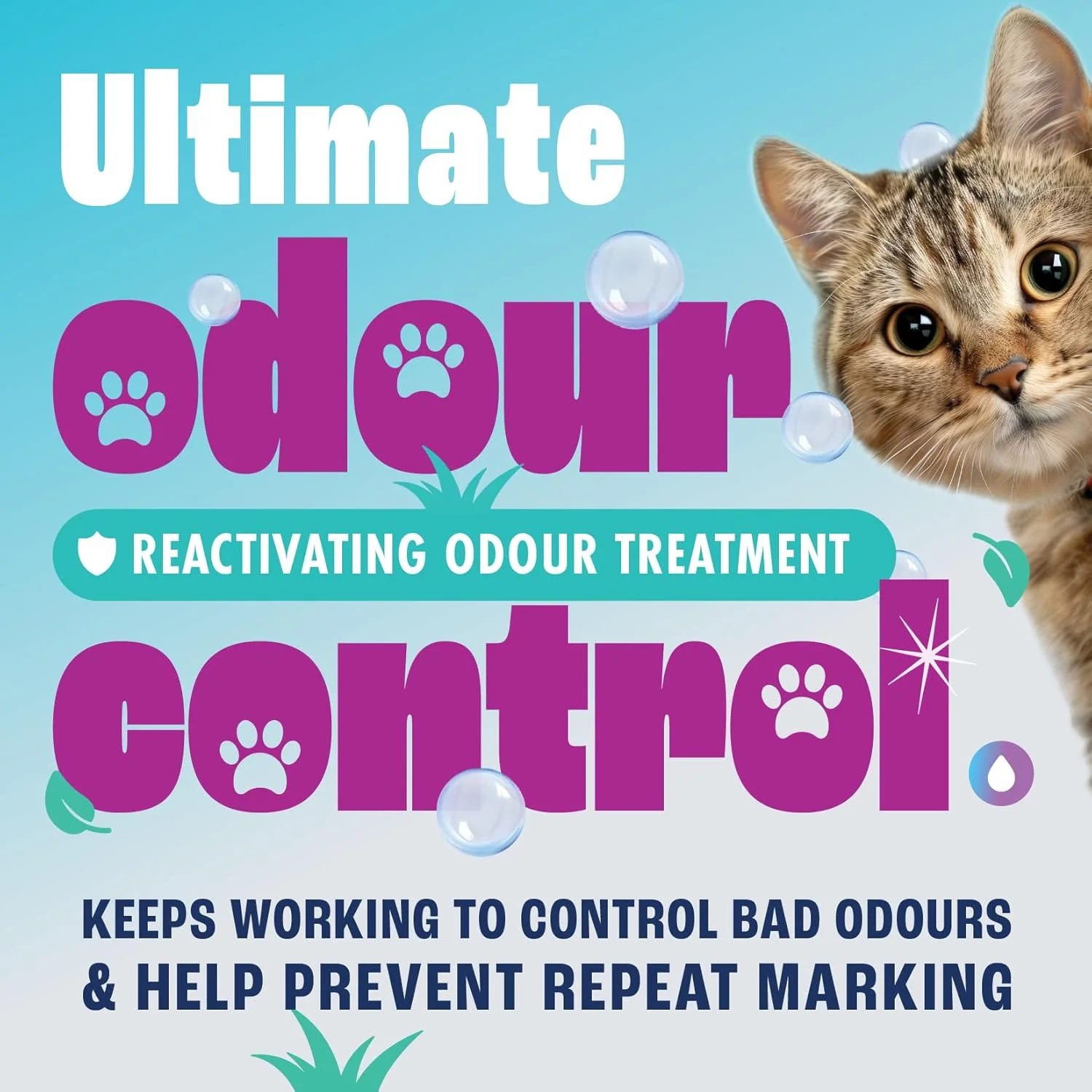 مایع تمیز کننده چمن مصنوعی مخصوص حیوانات خانگی Dirtbusters با از بین برنده بو و ادرار برای سگ و گربه، برای تمیز کردن، از بین بردن لکه ها و خوشبو کردن (5 لیتر)