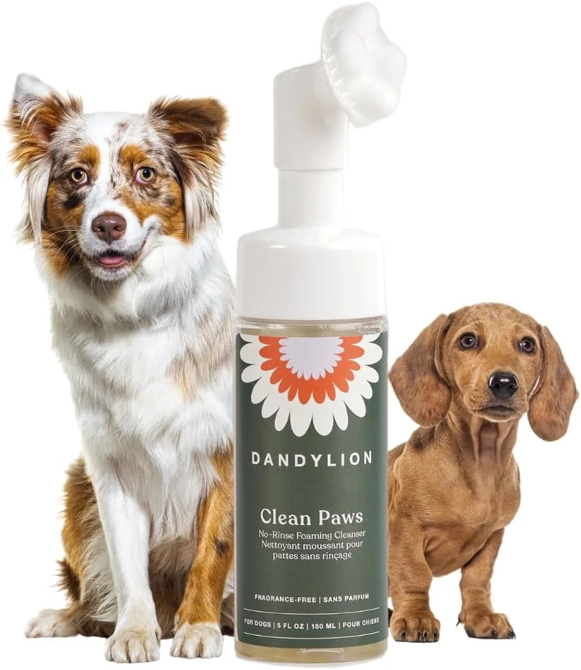 Dandylion Clean Paws | پاک کننده فوم بدون نیاز به آبکشی | ملایم، بدون عطر و اسانس، و دارای pH متعادل برای ارائه یک پاکیزگی عمیق و ایمن برای همه سگ ها | بطری 5oz fl با برس مویی سیلیکونی
