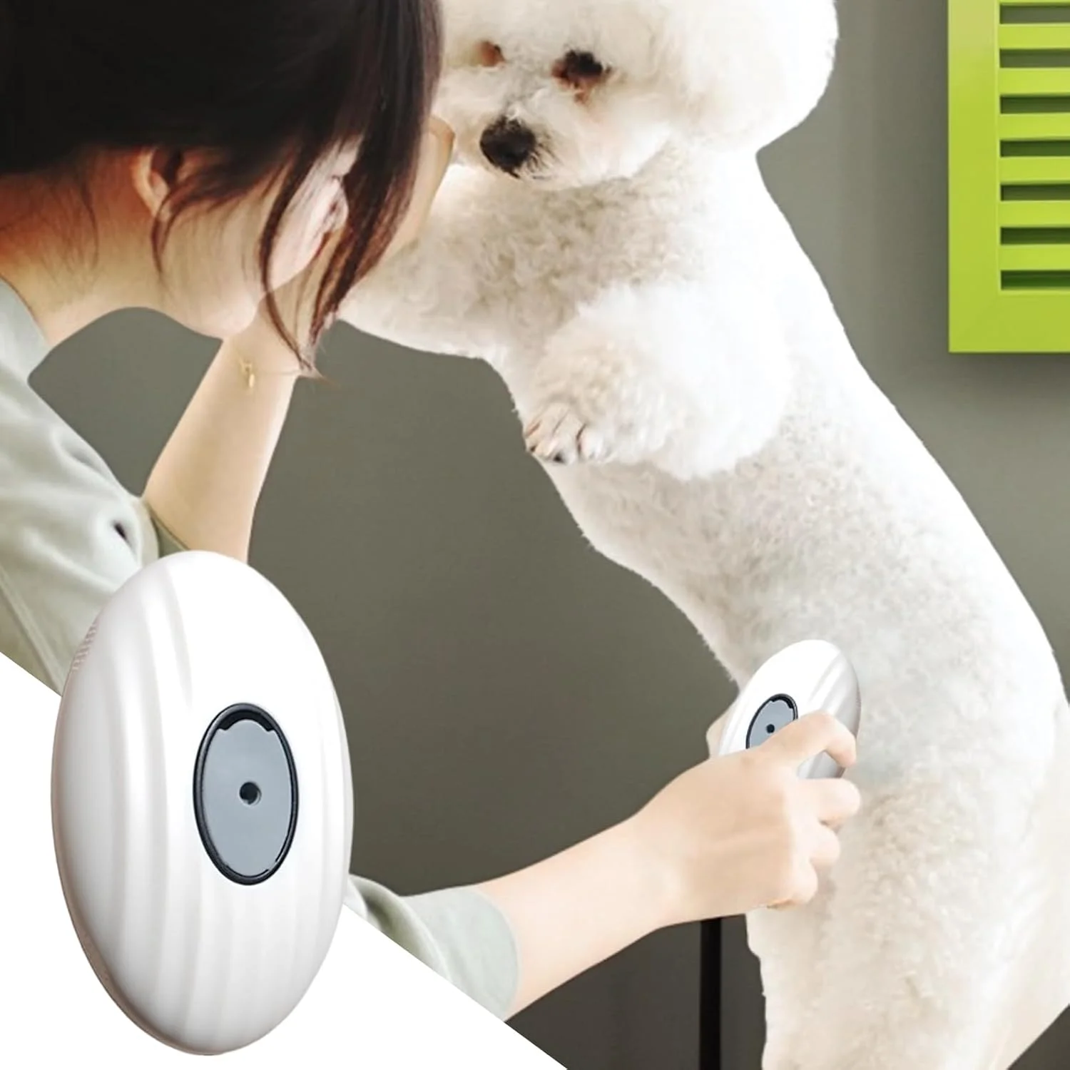 شانه حیوانات خانگی | برس جداشدنی برای نظافت و ریزش موی سگ - برس شانه نرم برای تمیز کردن حمام، بچه گربه، جزئیات، خانه، حمام، توله سگ، حیوانات کوچک خانگی شانه حیوانات خانگی | برس جداشدنی برای نظافت و ریزش موی سگ - برس شانه نرم برای تمیز کردن حمام، بچه گربه، جزئیات، خانه، حمام، توله سگ، حیوانات کوچک خانگی