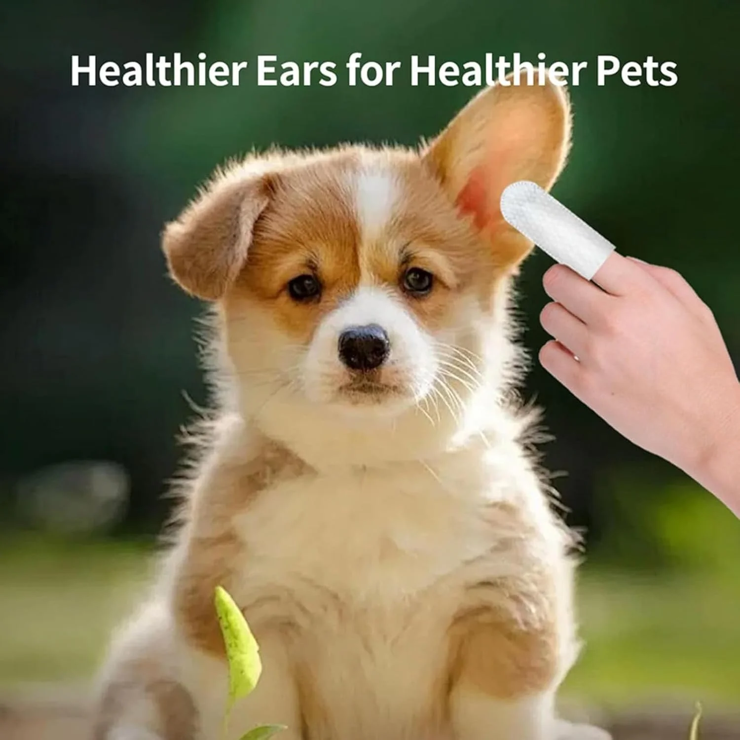 ۵۰ عدد دستمال مرطوب انگشتی تمیز کننده گوش حیوانات خانگی، کیت دستمال مرطوب تمیز کننده برای سگ و گربه، دستمال مرطوب انگشتی پاک کننده جرم گوش، دستمال مرطوب یکبار مصرف حیوانات خانگی برای تسکین خارش گوش و محافظت در برابر عفونت
