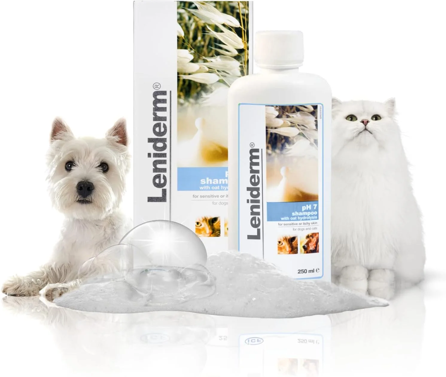 شامپو سگ و گربه سیف لنی درم 250 میلی لیتر