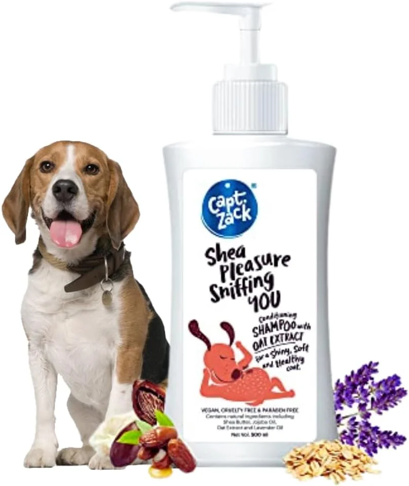 کاپیتان زک - شامپو مرطوب کننده جو دوسر Shea Pleasure Sniffing You برای سگ های با پوشش بلند - بدون پارابن، بدون رایحه مصنوعی و بدون ظلم (500 میلی لیتر)