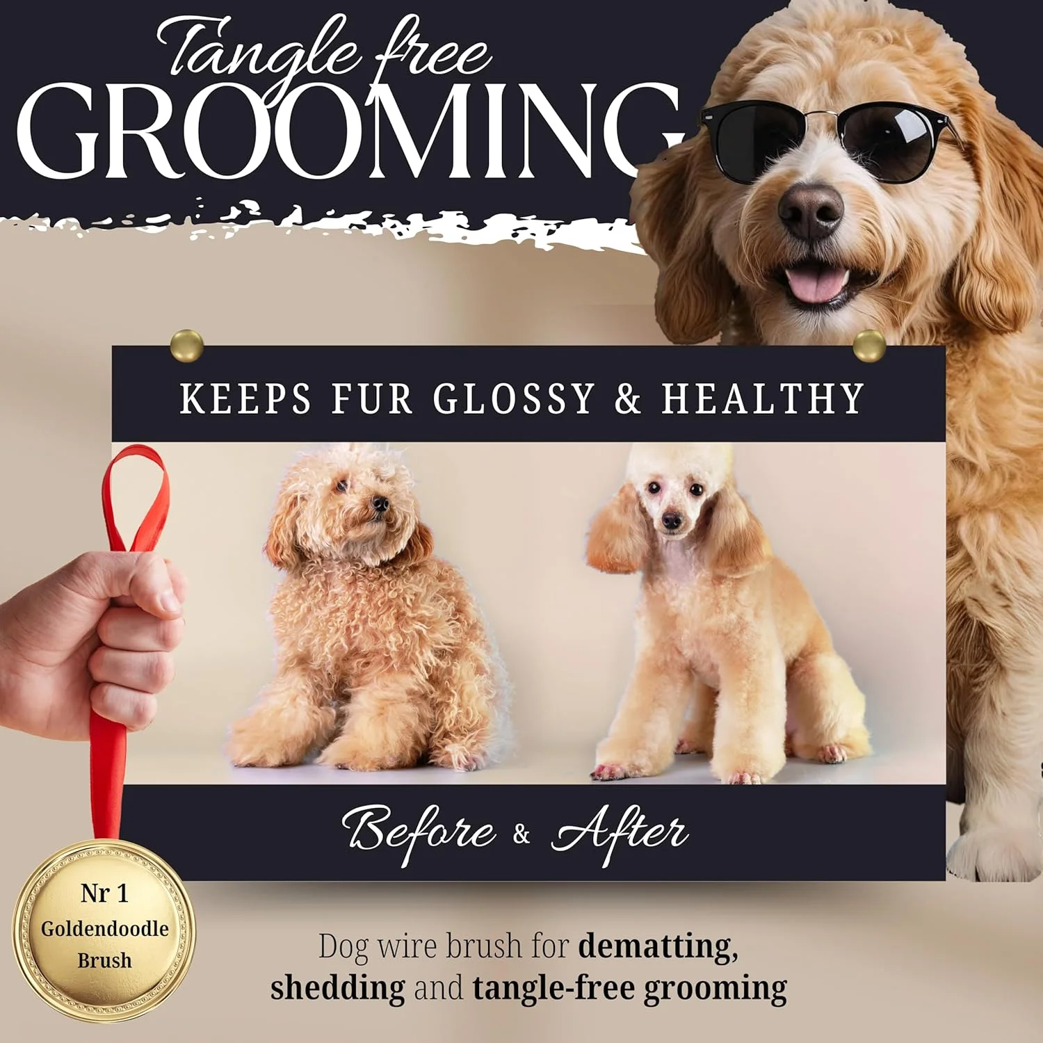 برس سگ Bixy Pixy با نوک های روکش دار - گره باز کن جهانی برای سگ های مو بلند و پوشش های مجعد - گلدن دودل، پودل، رتریور و غیره - قرمز