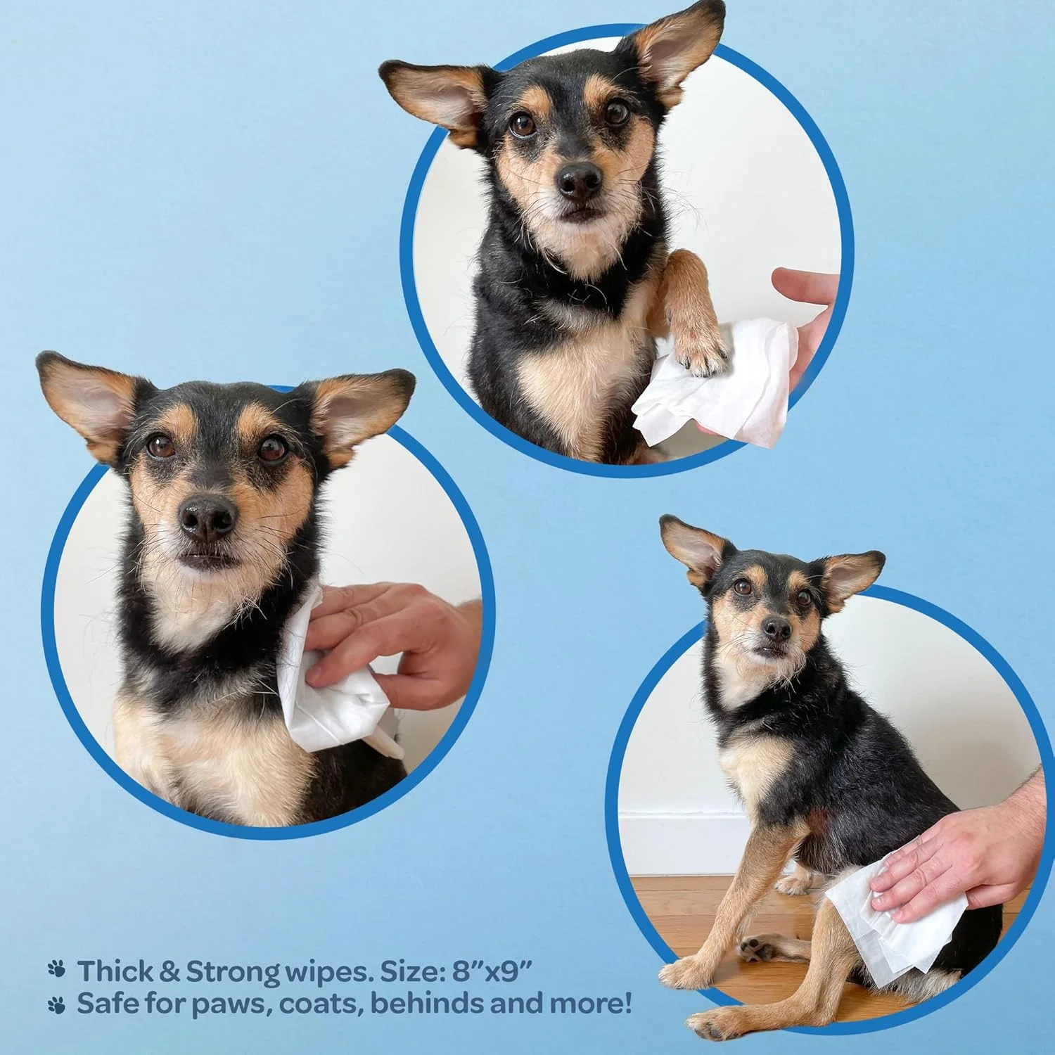 بهترین دستمال مرطوب معطر برای نظافت سگ و گربه با روغن اسطوخودوس آرامش بخش | ضد حساسیت و خوشبو کننده (4 بسته 100 عددی)