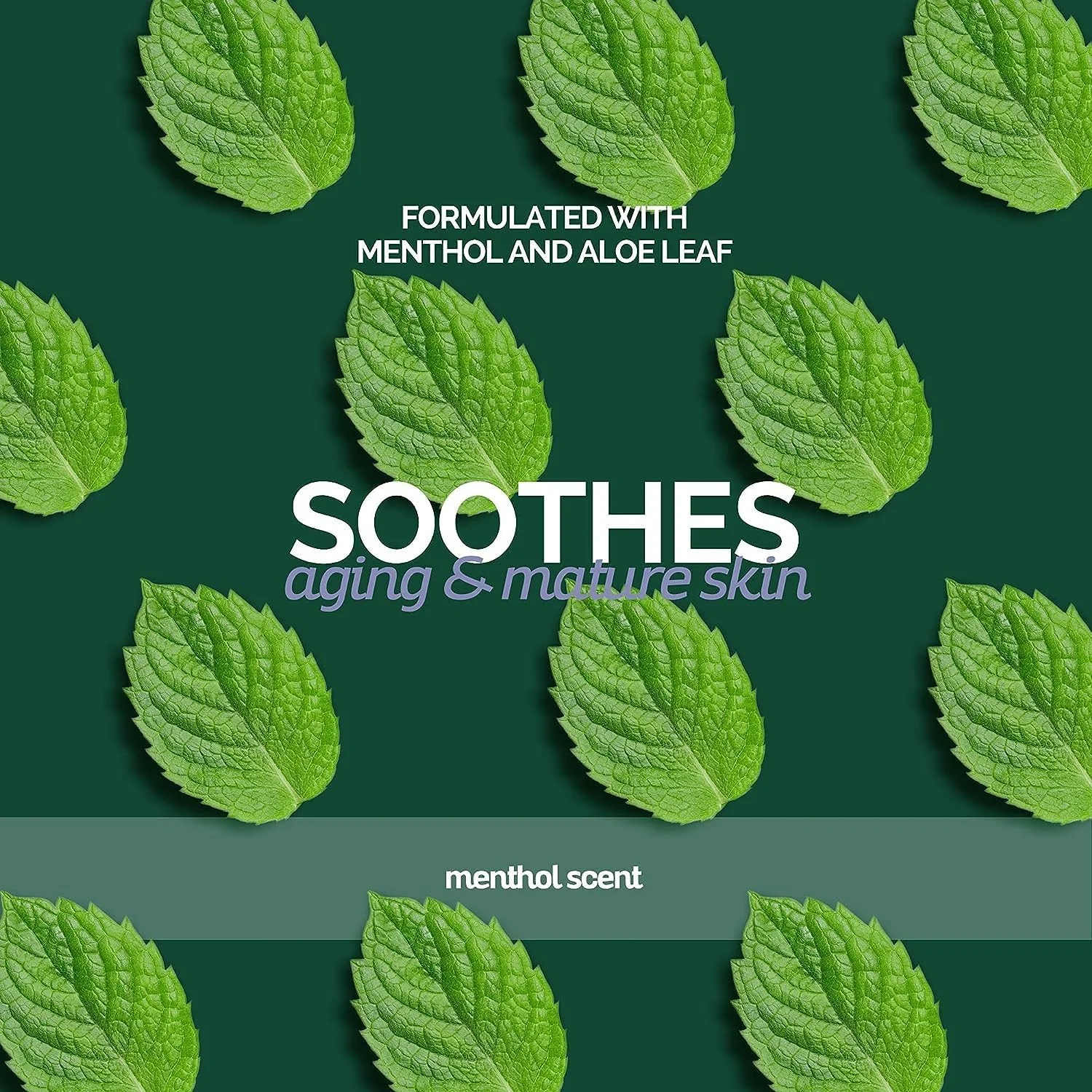 شامپو سگ Bark2Basics مخصوص سگ های مسن | 1 گالن، فرموله شده تخصصی برای سگ های مسن، غنی شده با منتول و آلوئه ورا، تسکین دهنده عضلات و مفاصل، محرک فولیکول