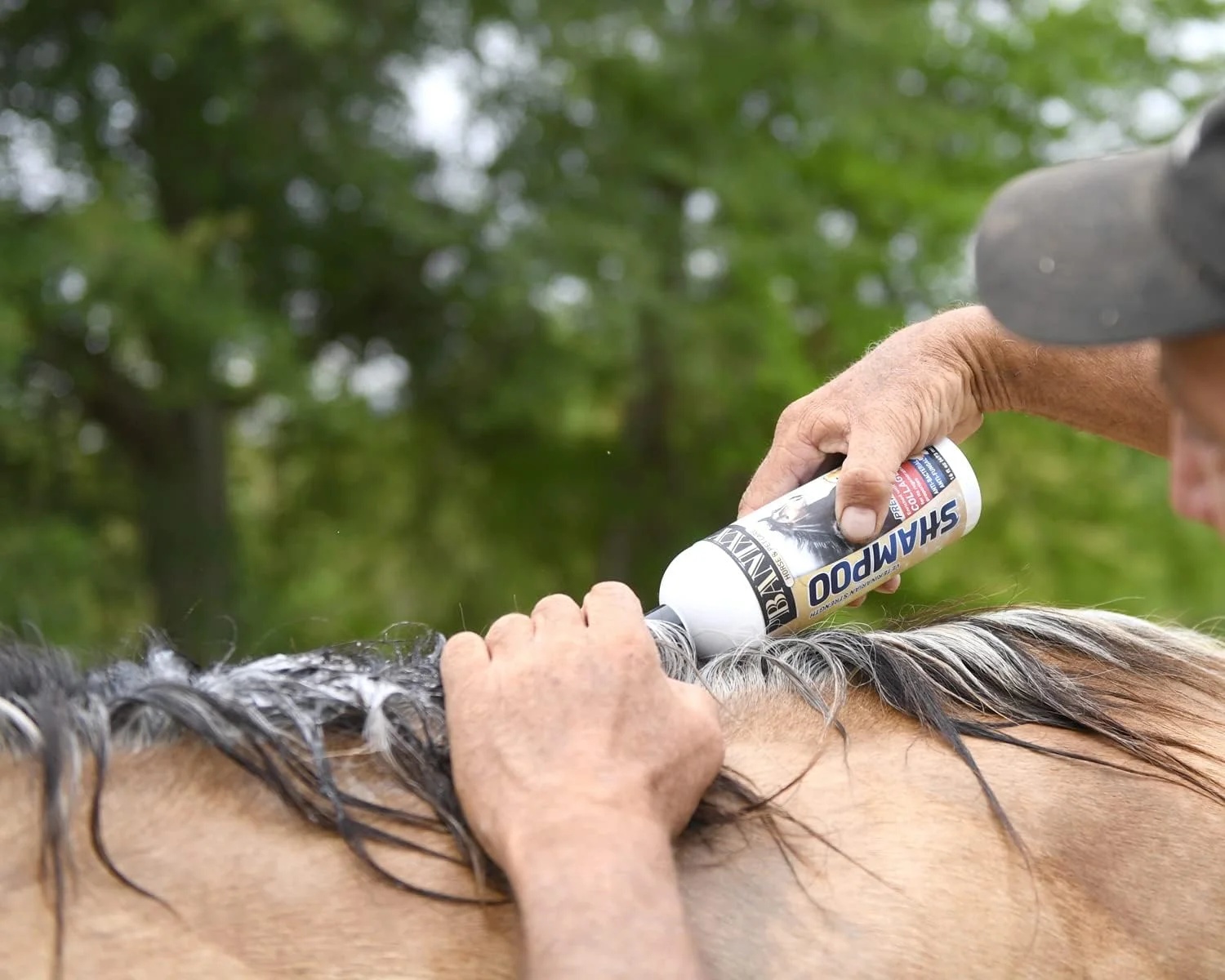 شامپو دارویی ضد قارچ و ضد باکتری Banixx