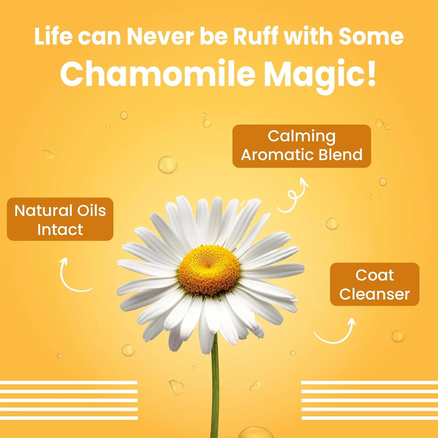 شامپو توله سگ Bark Out Loud by Vivaldis، ملایم برای پوشش، با بابونه، رزماری، جو دوسر، آرام بخش، ضد باکتریایی با تسکین خارش (مناسب برای همه نژادها) - 200 میلی لیتر