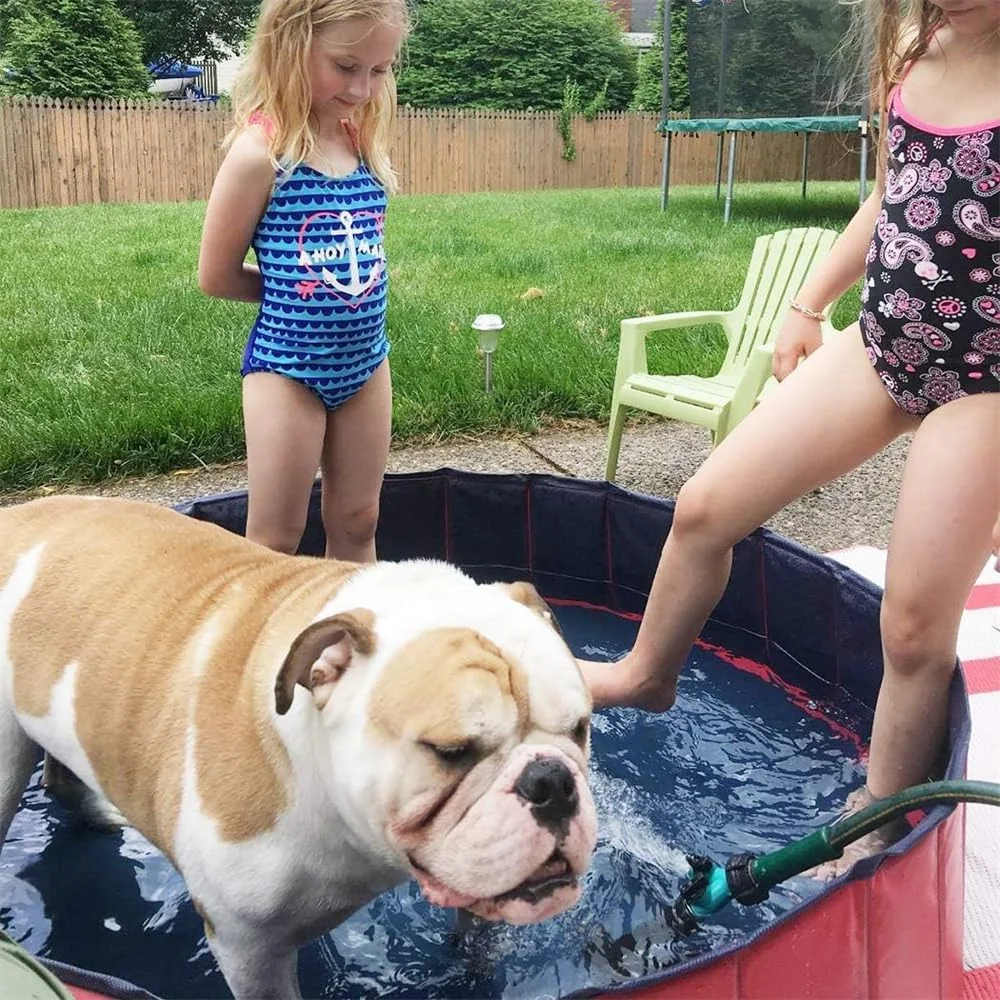 استخر سگ تاشو Azonee - استخر شنای پلاستیکی سخت تاشو، وان حمام PVC قابل حمل بزرگ برای حیوانات خانگی، استخر آب تنی توله سگ برای استفاده در داخل و خارج از منزل (80 * 30)