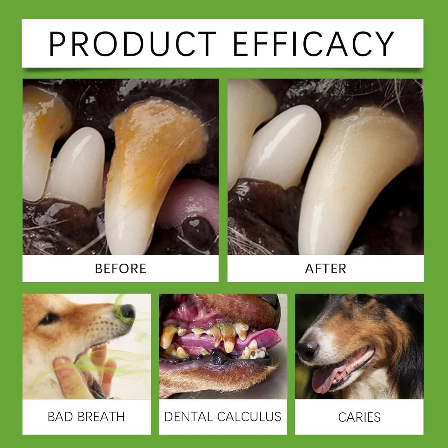 دستمال مرطوب انگشتی دندان حیوانات خانگی آزونی، مناسب سگ و گربه، با رایحه نارگیل، از بین برنده پلاک و جرم دندان، خوشبو کننده دهان، استفاده آسان، ایمن و مناسب سفر (50 عدد)