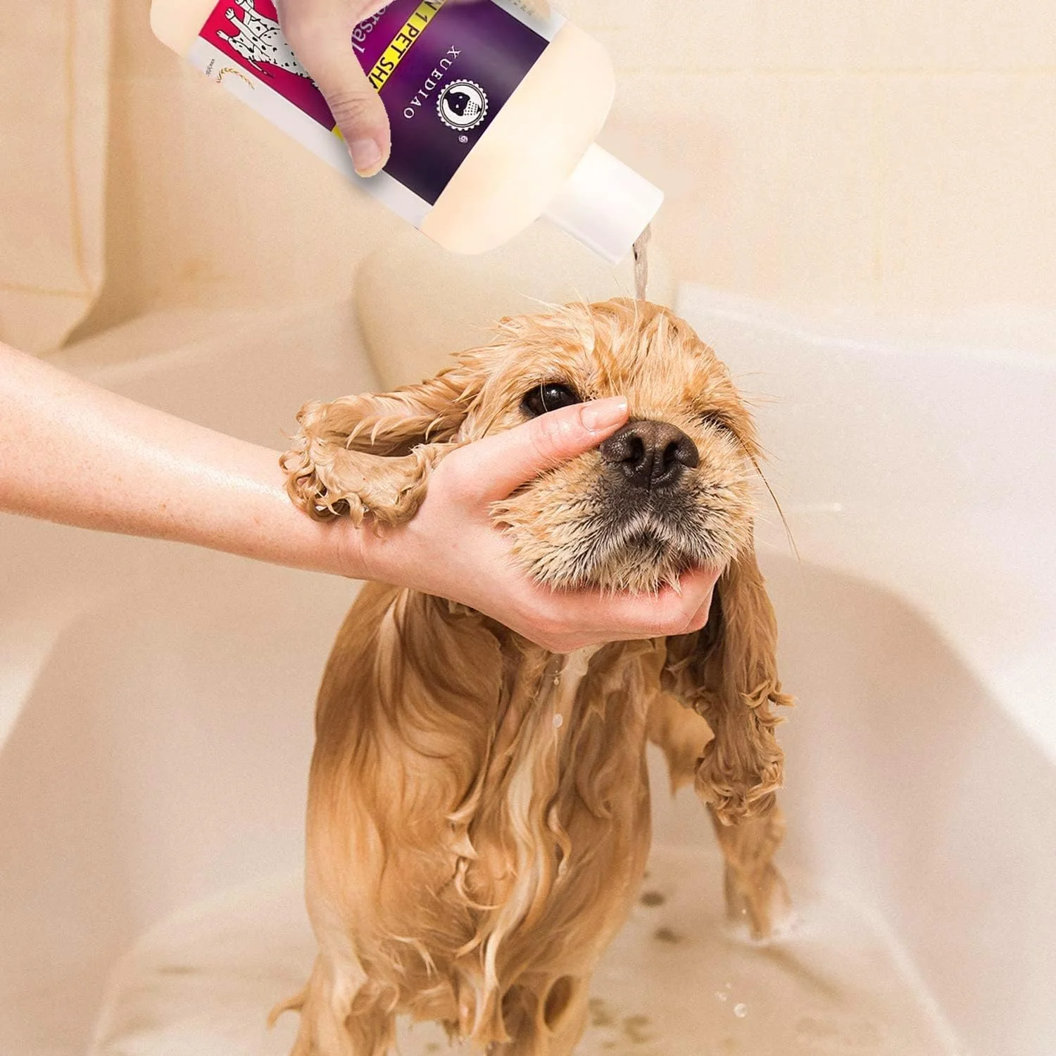 شامپو و نرم کننده ضد خارش سگ AUTOYSUR با کنترل بو، ریزش مو، پیرایش توله سگ، شوره سر و عطر طبیعی حرفه ای برای سگ ها و گربه ها، 473 میلی لیتر (شامپو سگ)