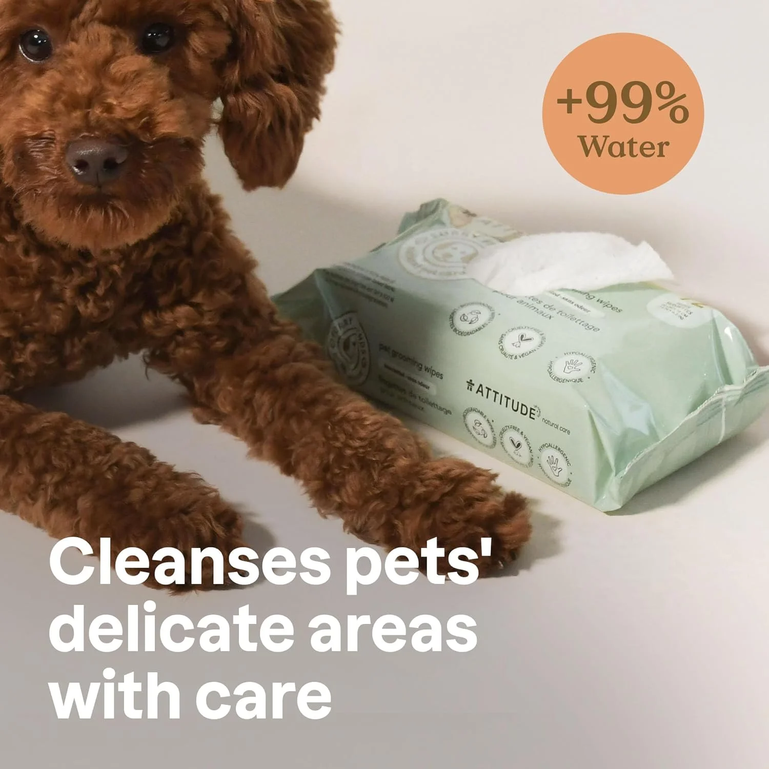 دستمال مرطوب نظافت حیوانات خانگی Attitude بسته 72 عددی دستمال مرطوب نظافت حیوانات خانگی Attitude بسته 72 عددی