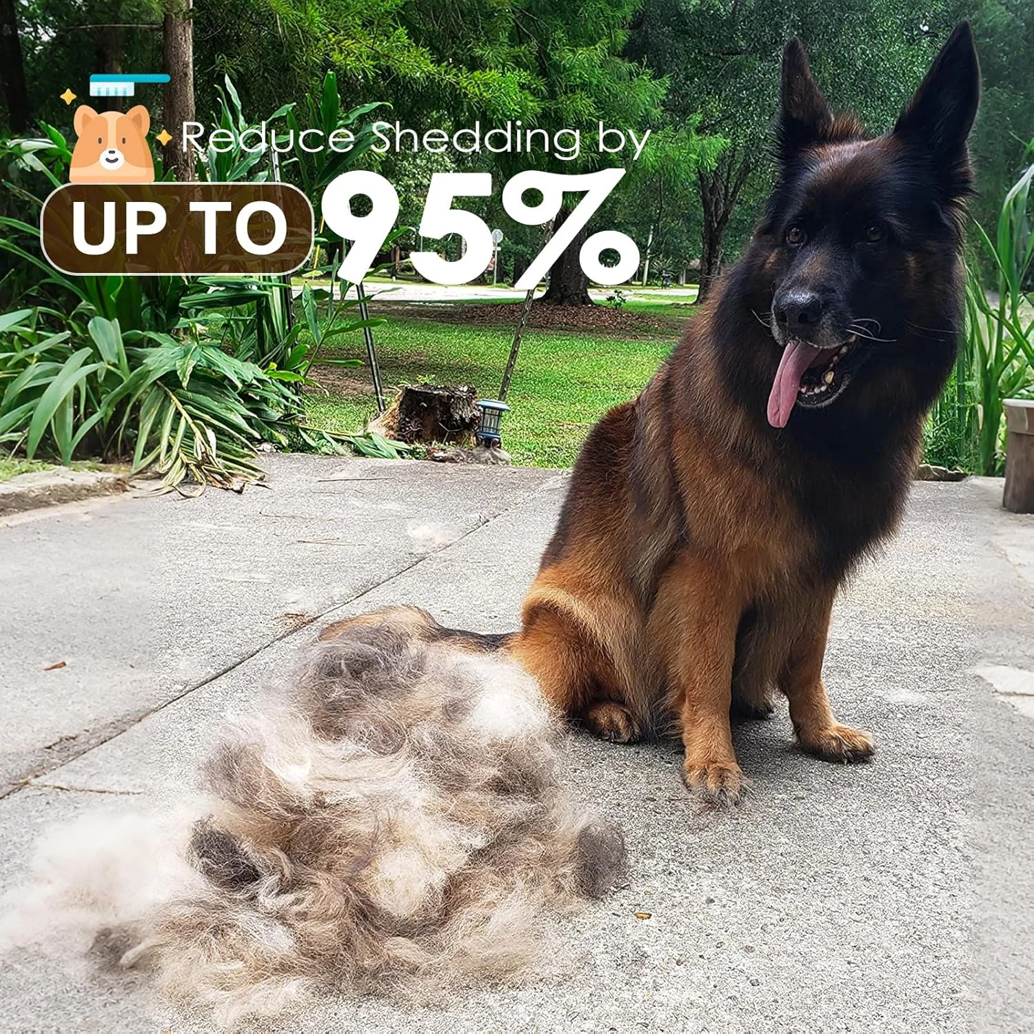 برس زیرپوشش موی سگ و گربه Aidiyapet، برس سگ و گربه برای موهای بلند، شانه Coat King برای پیرایش، شانه مراقبت از زیرپوشش موی حیوانات خانگی برای سگ ها، برای نظافت و آراستگی (دوگانه)