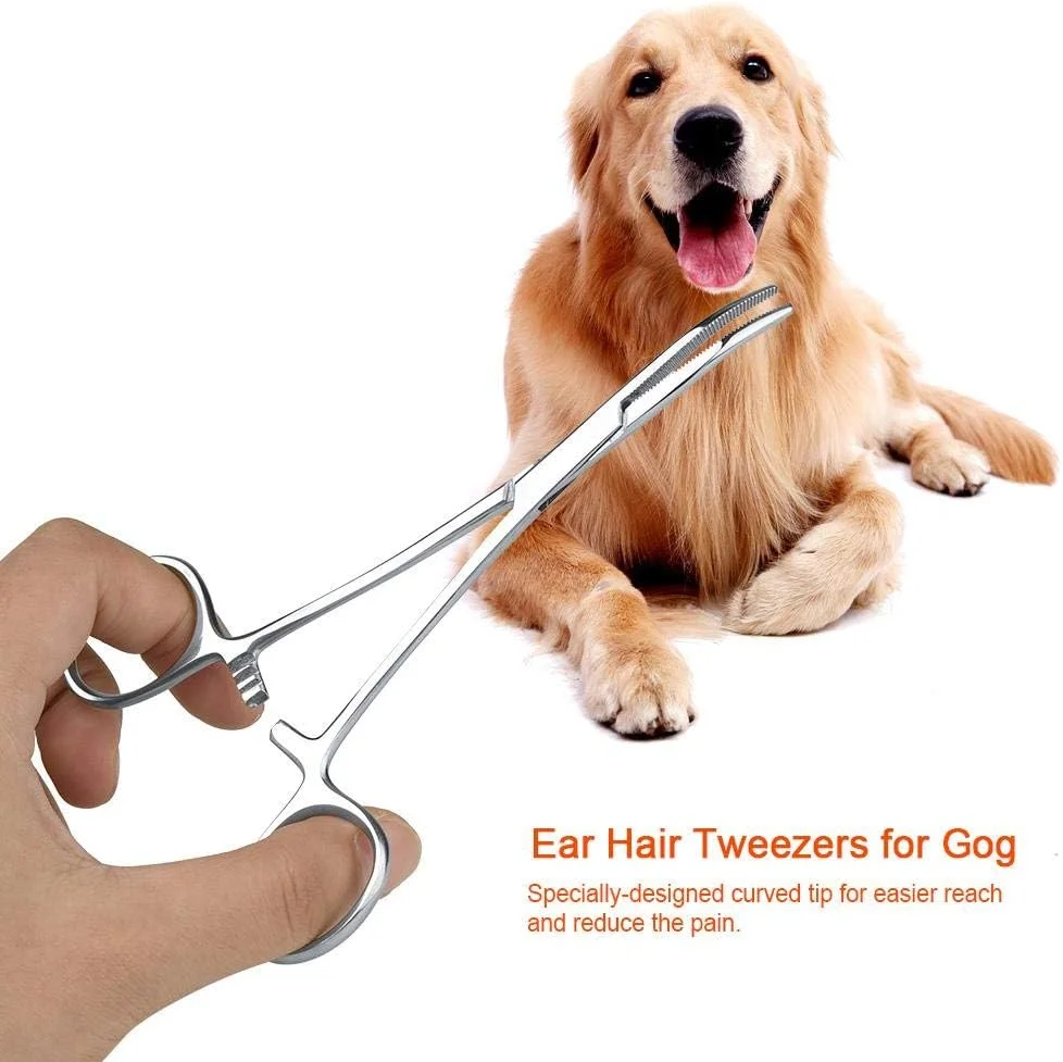 هموستات استیل ضد زنگ 4.9 اینچی/5.5 اینچی، موچین موی سگ و گربه، هموستات، گیره خمیده تمیز کننده گوش (بزرگ)