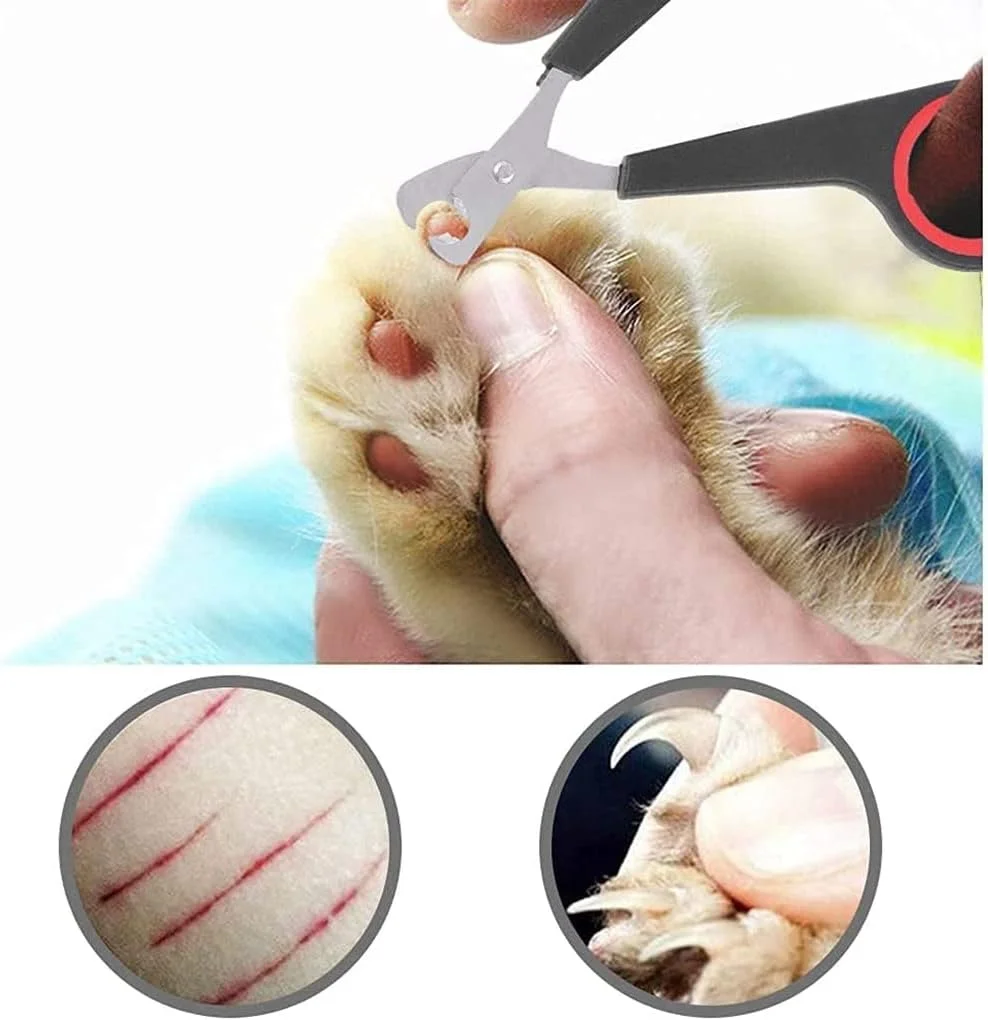 ناخن گیر پرنده مامو بیر، ابزار پیرایش، قیچی ناخن، لوازم جانبی حیوانات خانگی پرنده طوطی برای پرندگان طوطی کوچک ناخن گیر پرنده مامو بیر، ابزار پیرایش، قیچی ناخن، لوازم جانبی حیوانات خانگی پرنده طوطی برای پرندگان طوطی کوچک